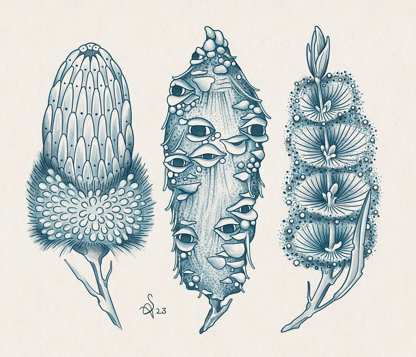 Some banksia and bottlebrush sketches up for grabs π€
For bookings/enquiries send me a DM or email: s.amaterstein@gmail.com
.
.
.
.
.
#amatersteinart #availabledesigns #botanical #botanicaltattoo #australiannatives #banksia #bottlebrush #tattooflash