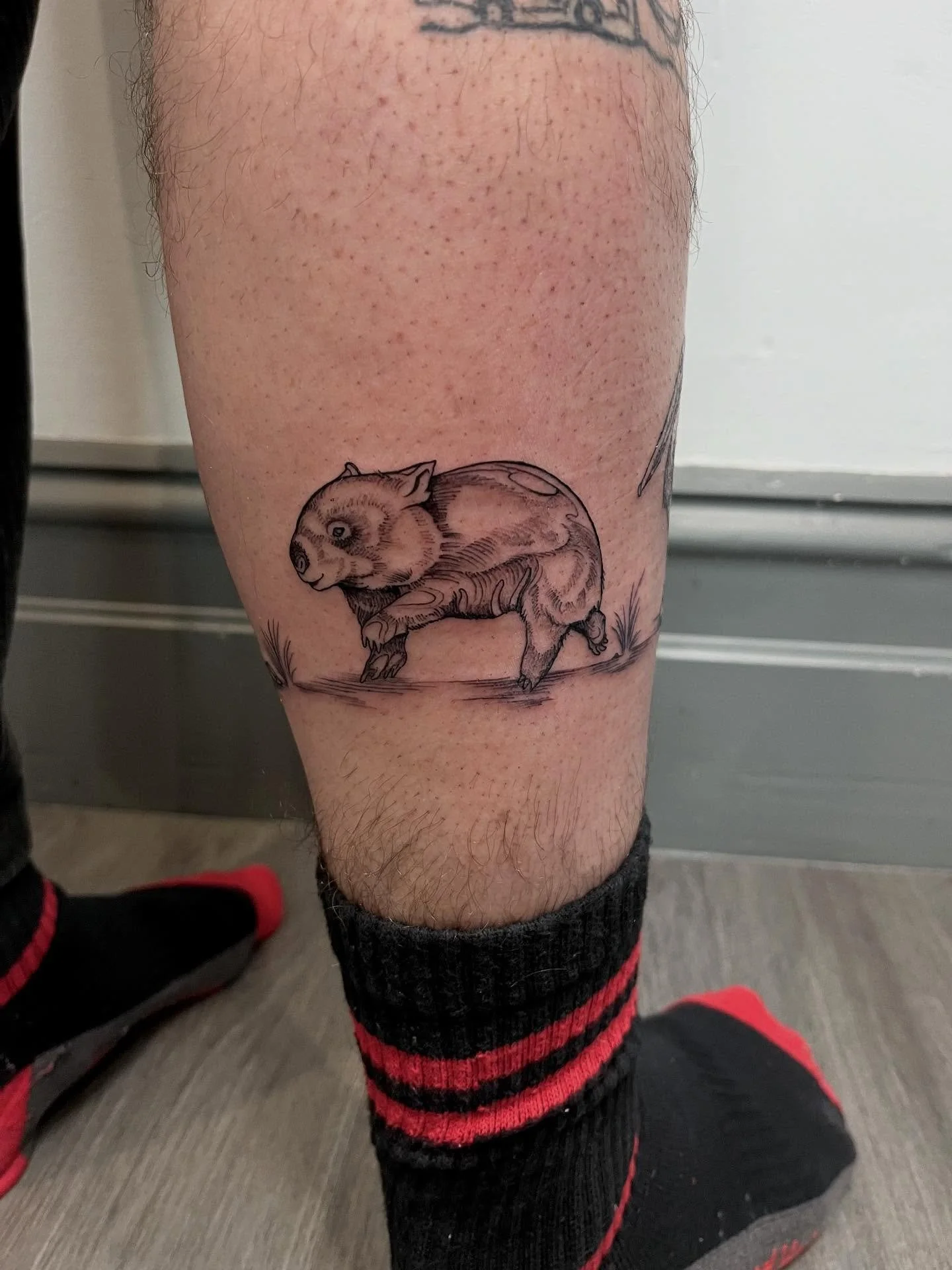 A really fun one from last week. Thanks for the great chats Jerome!
A line of native Australian animals meandering around the leg.

For bookings/enquiries send me a DM or email: s.amaterstein@gmail.com

.
.
.
.
.
#amatersteinart #tanukitattoo #hawtho