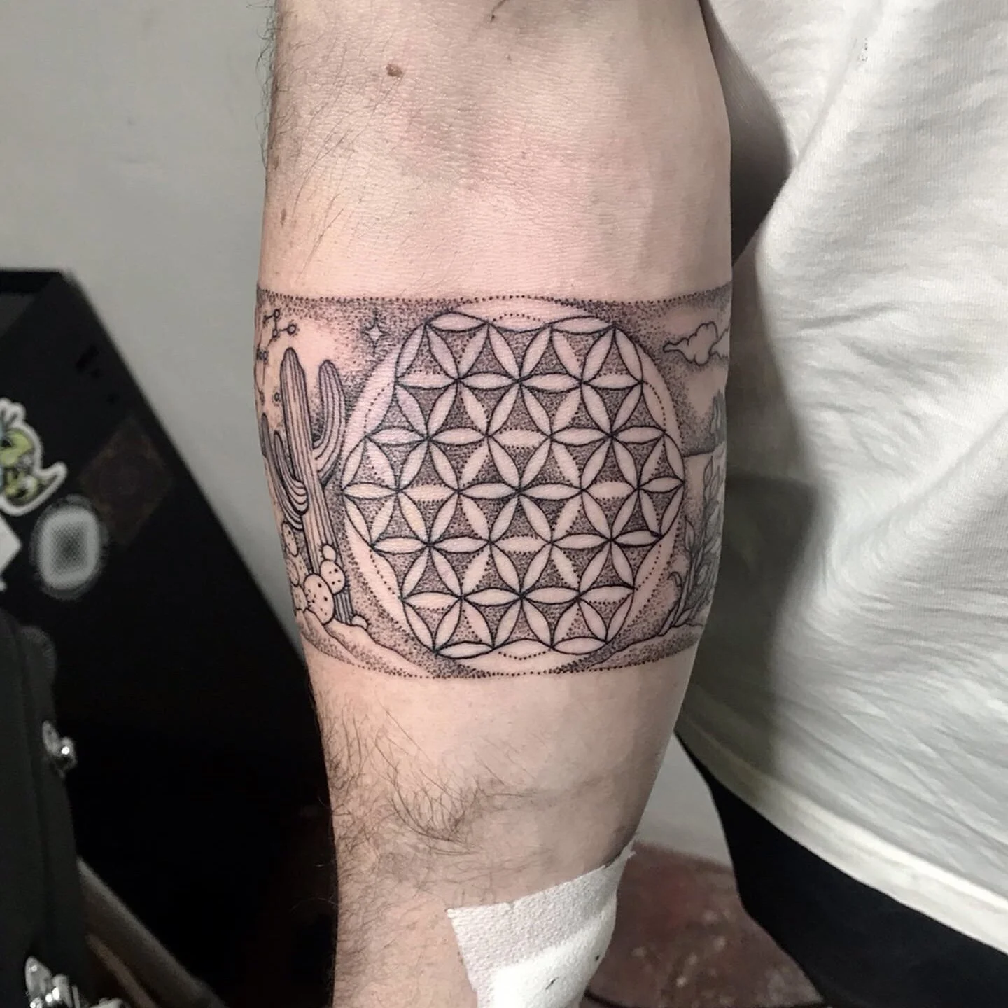 Flower of life.jpeg