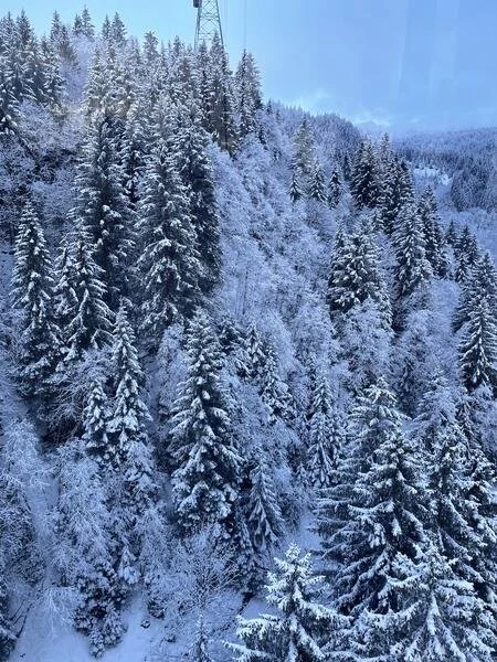 Winter in the Alps