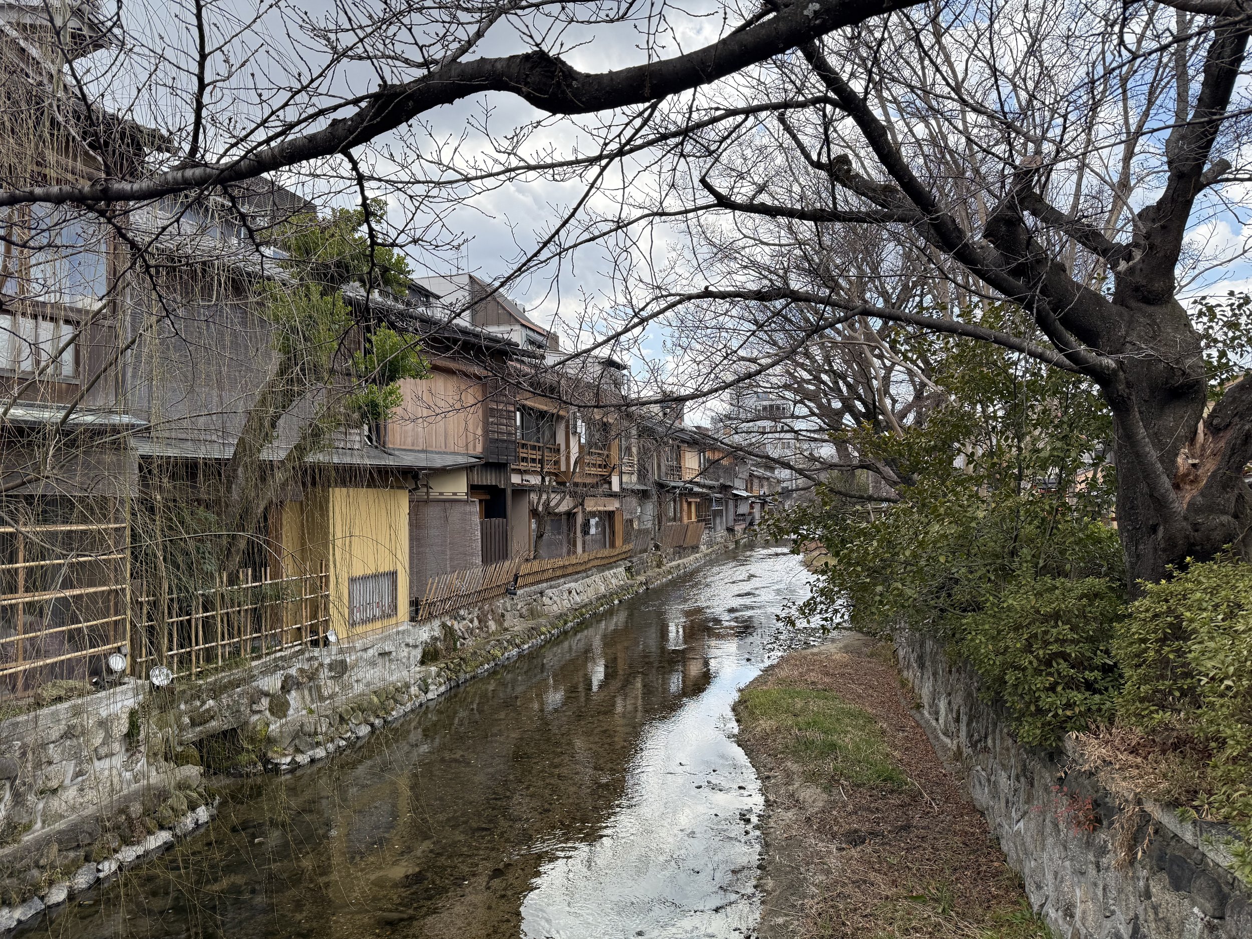 IMG_0138.jpeg