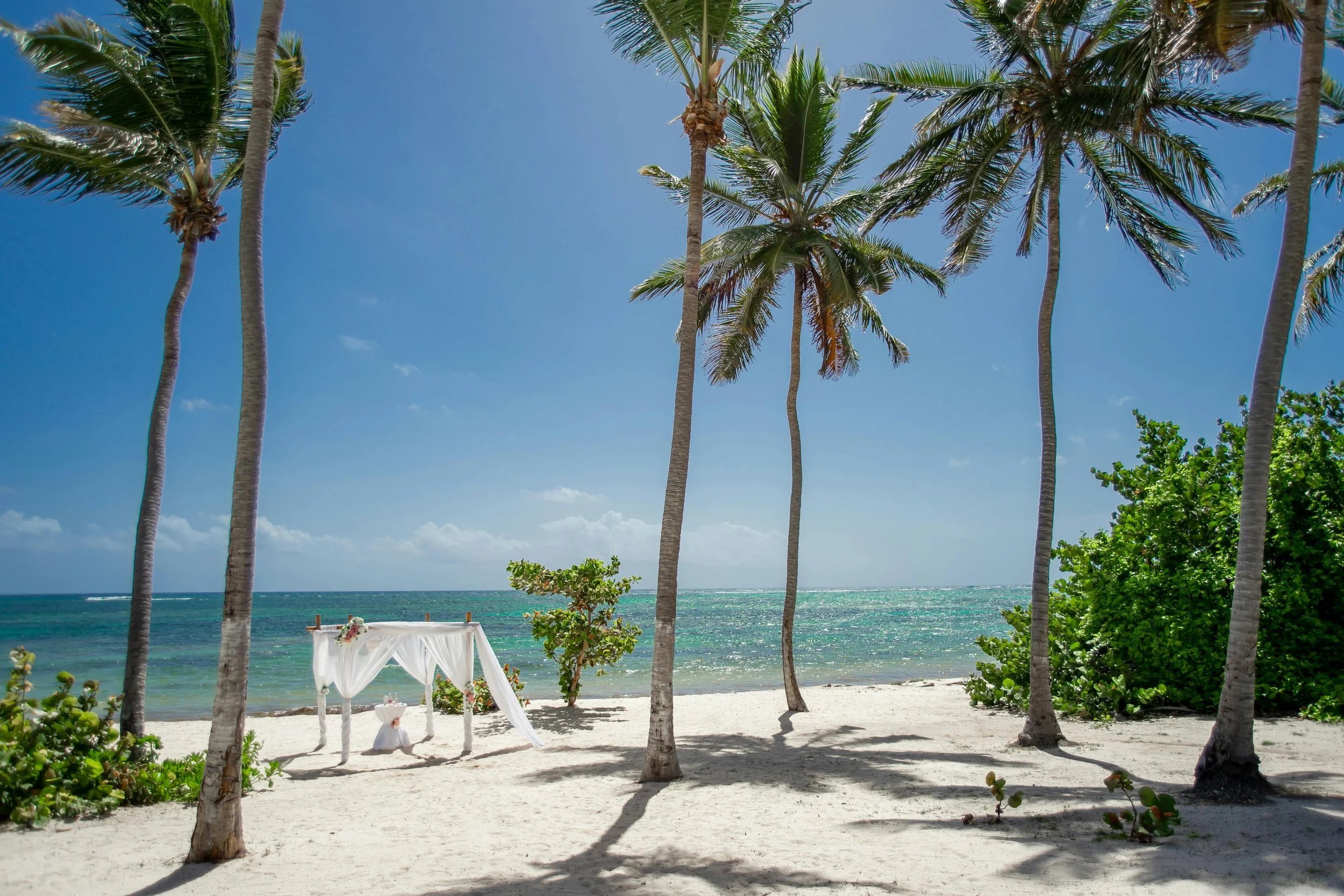 A tropical beach with white sand, several tall palm trees, and a small white canopy with draped fabric and flowers set up in the sand. The ocean is in the background with a clear blue sky and some clouds.