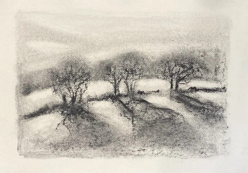 Untitled, 2023, charcoal on Khadi paper, 30 x 40cm