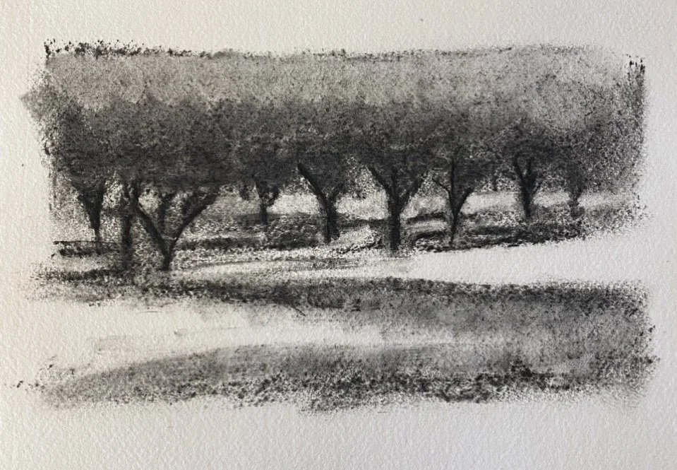 untitled, 2023, charcoal on paper, 24 x 40cm