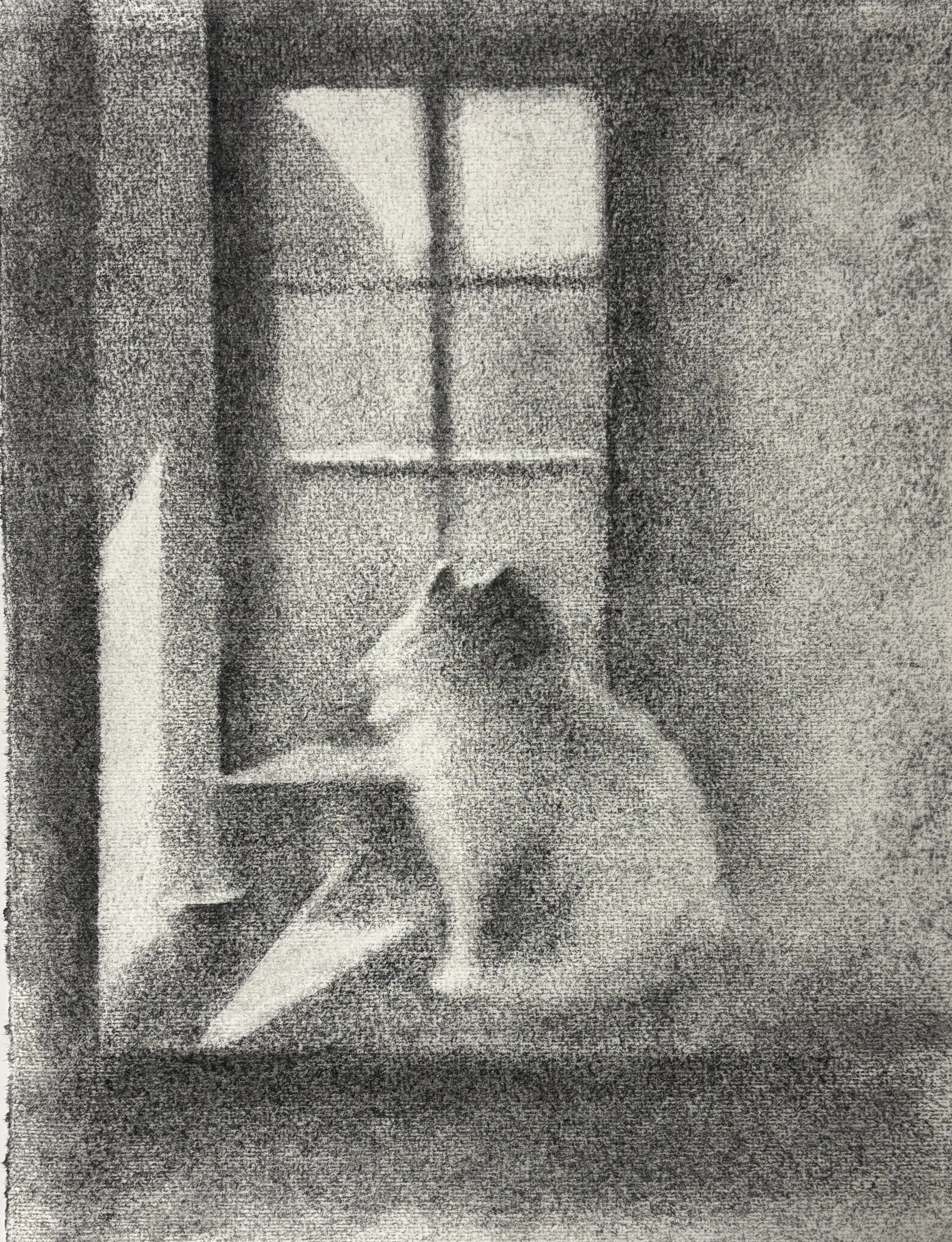 Lucy in the Window, Charcoal on Ingres paper, Exhibited with Hampstead Art society 2025