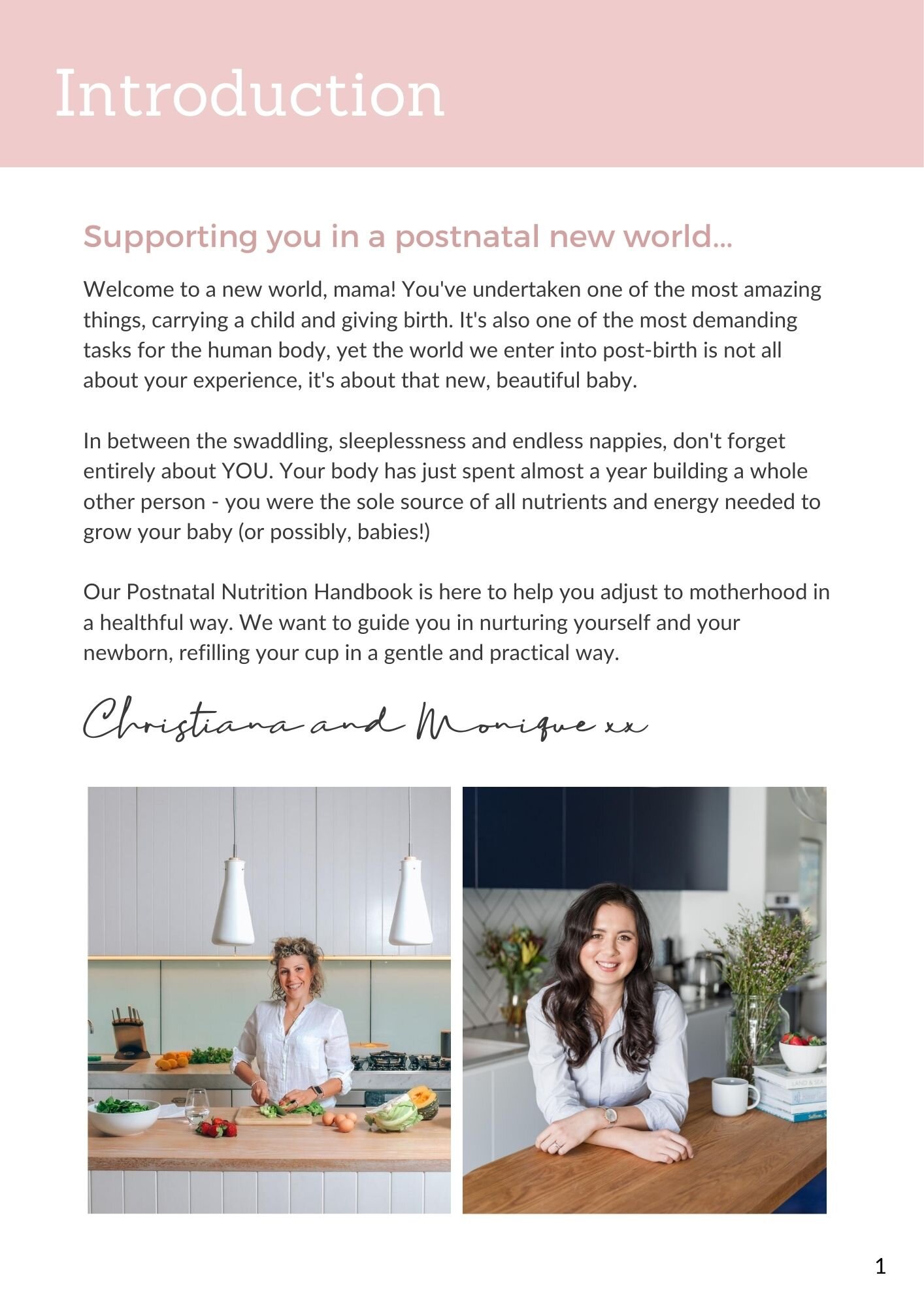 Copy of Postnatal Nutrition Handbook.jpg
