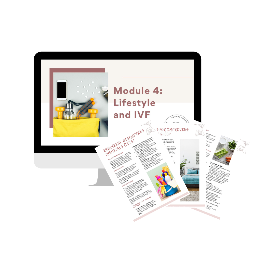 IVF Roadmap Program_Module 4.png
