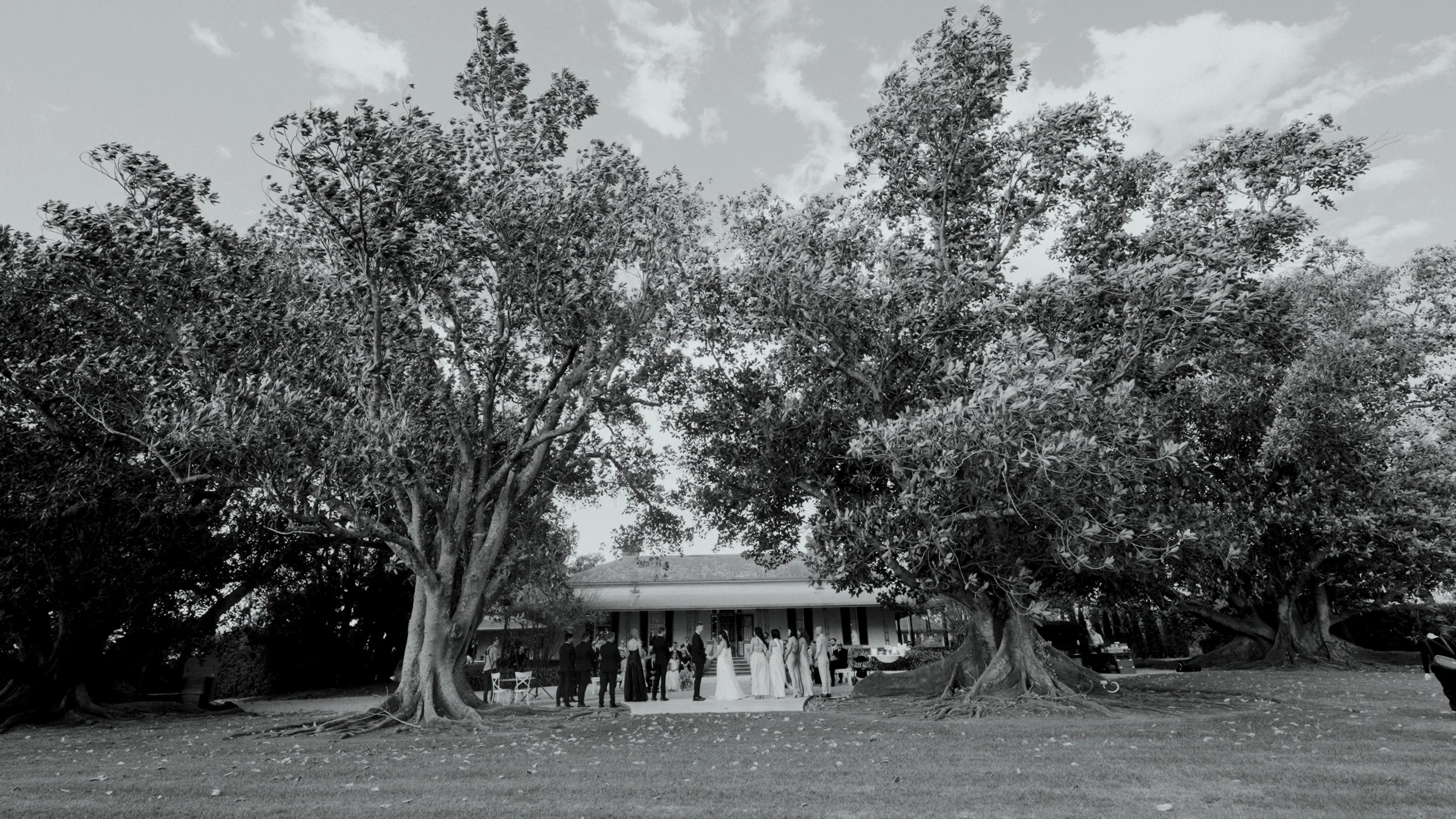 Still 2026-01-08 110932_1.10.1.jpg