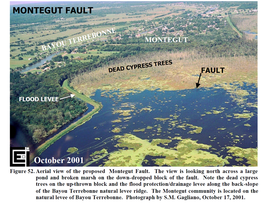 The Montegut fault A conduit for fluid migration — McLindon