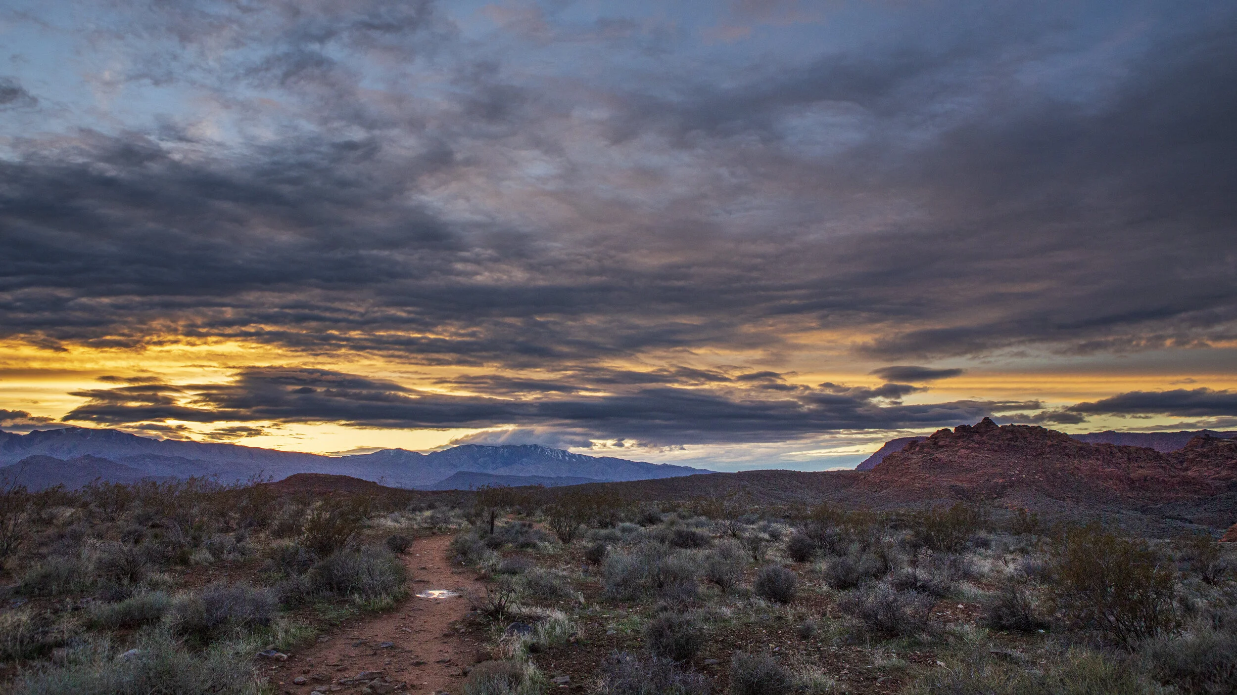 Sunset Path - red cliffs recreation area utah