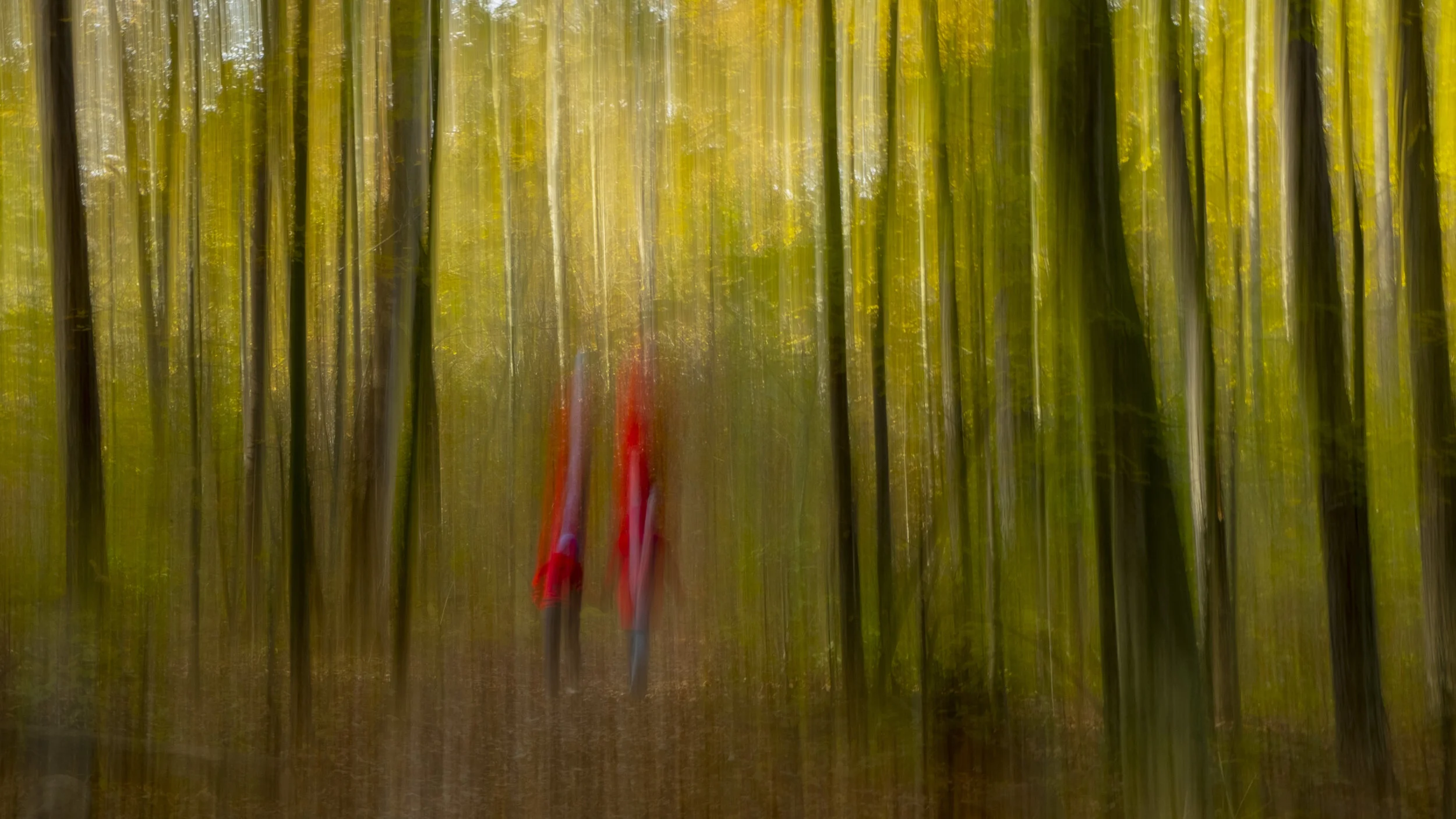 Red Coats - Woodland Abstract