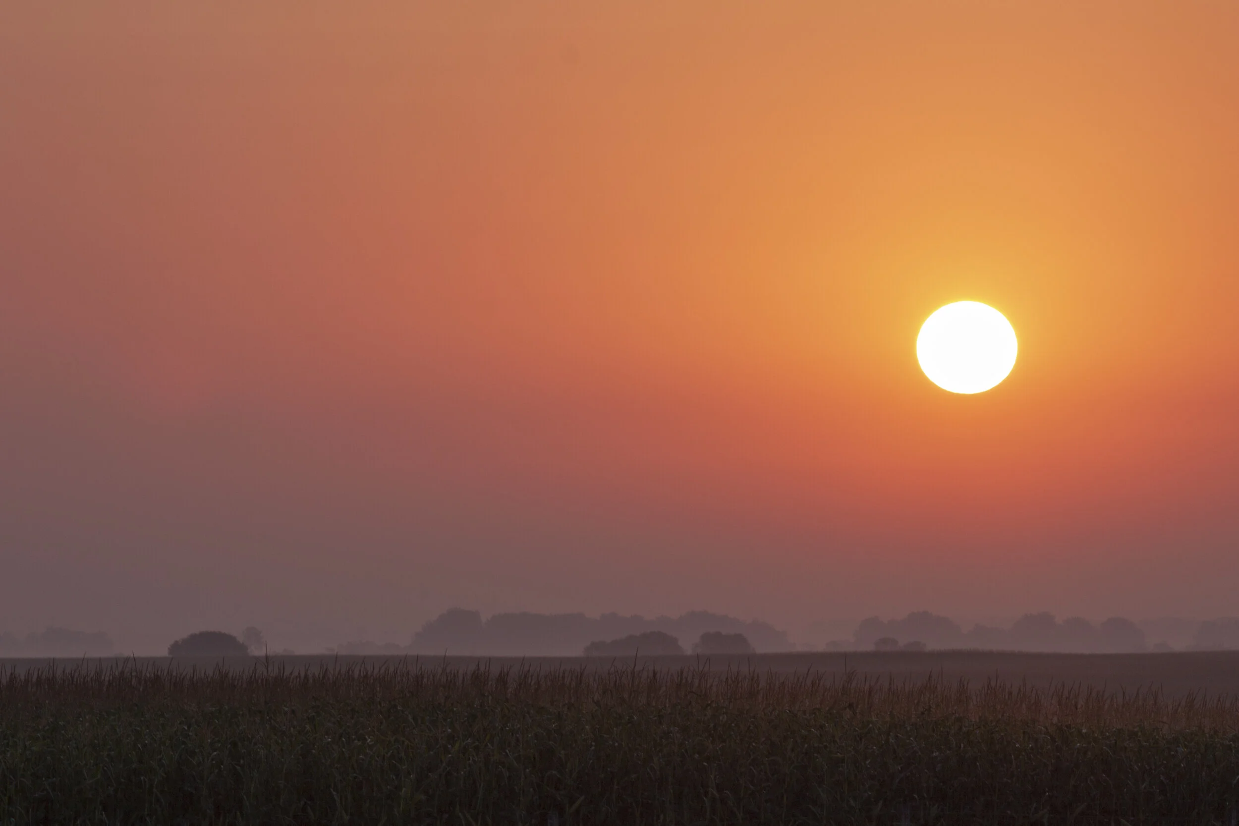 Sunrise Spotlight - north dakota