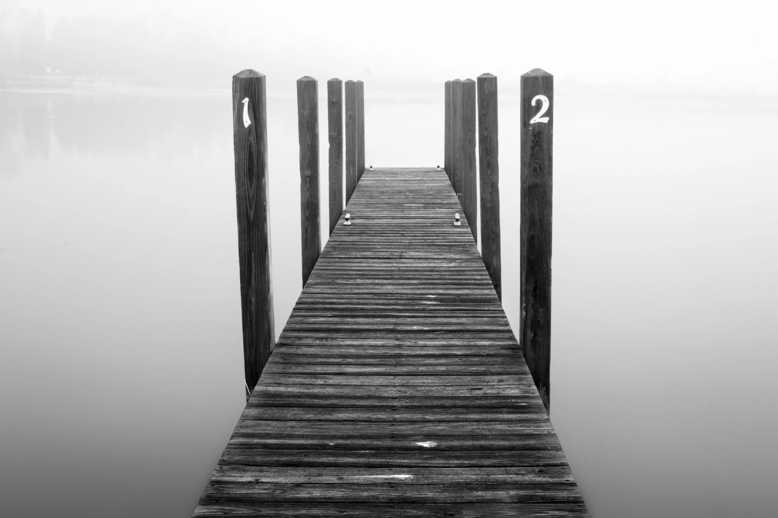 The Dock