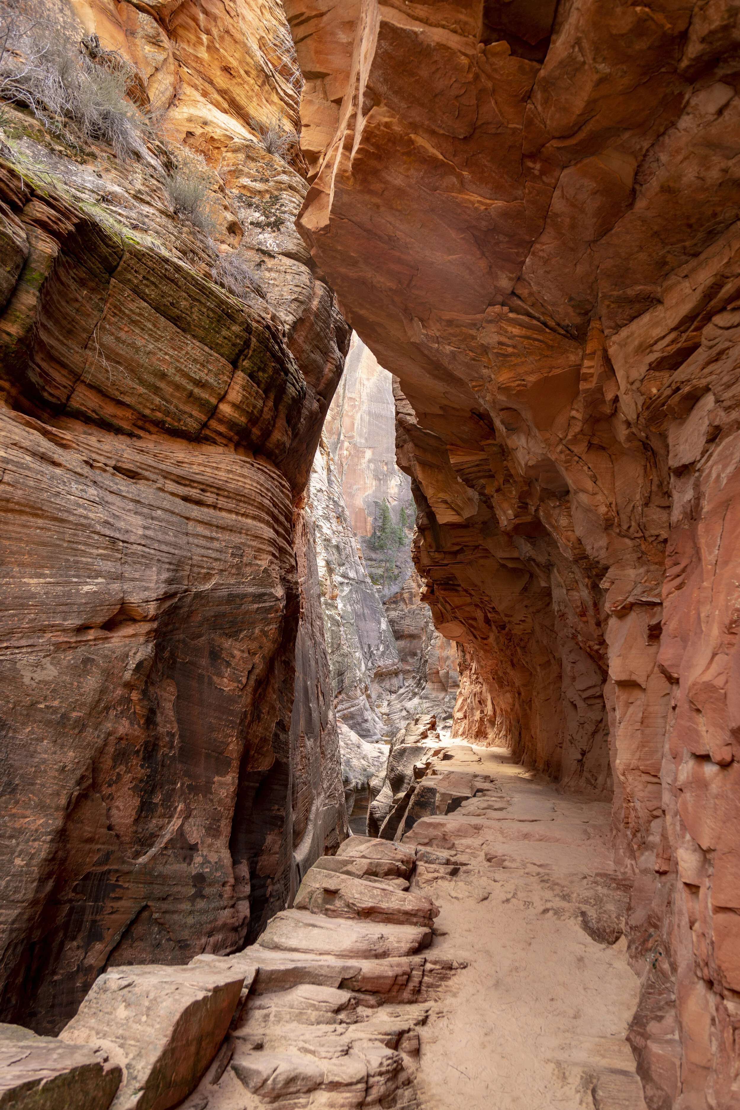 Echo Canyon - Zion National Park Utah