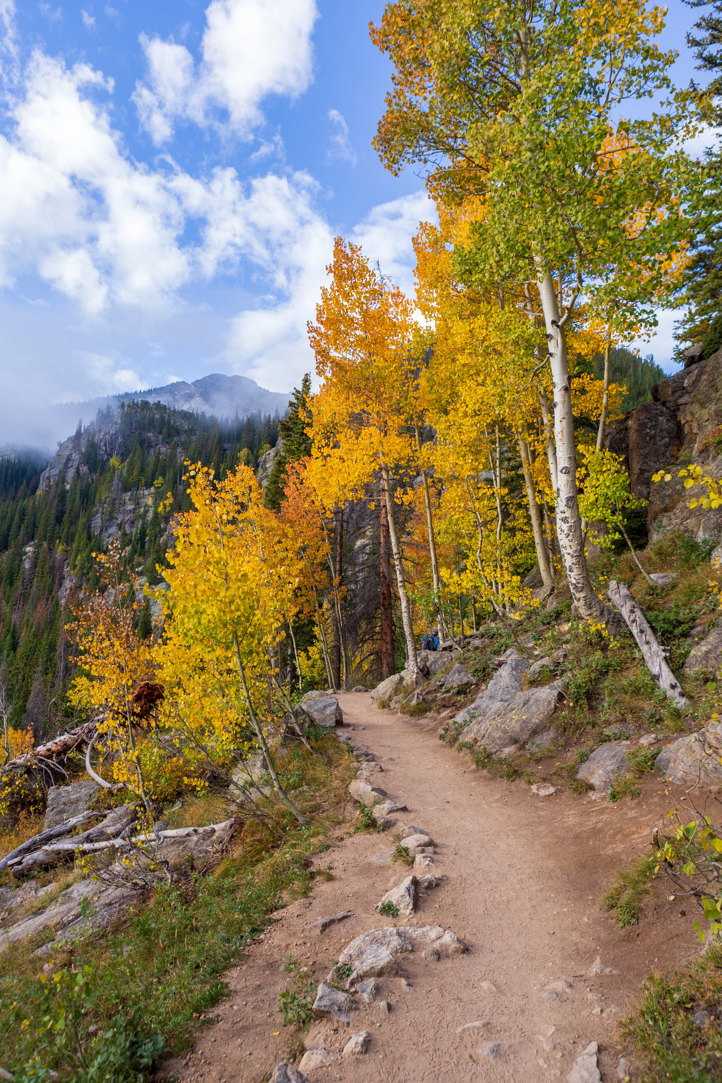Mountain Path - Rocky Mountain National Park Colorado
