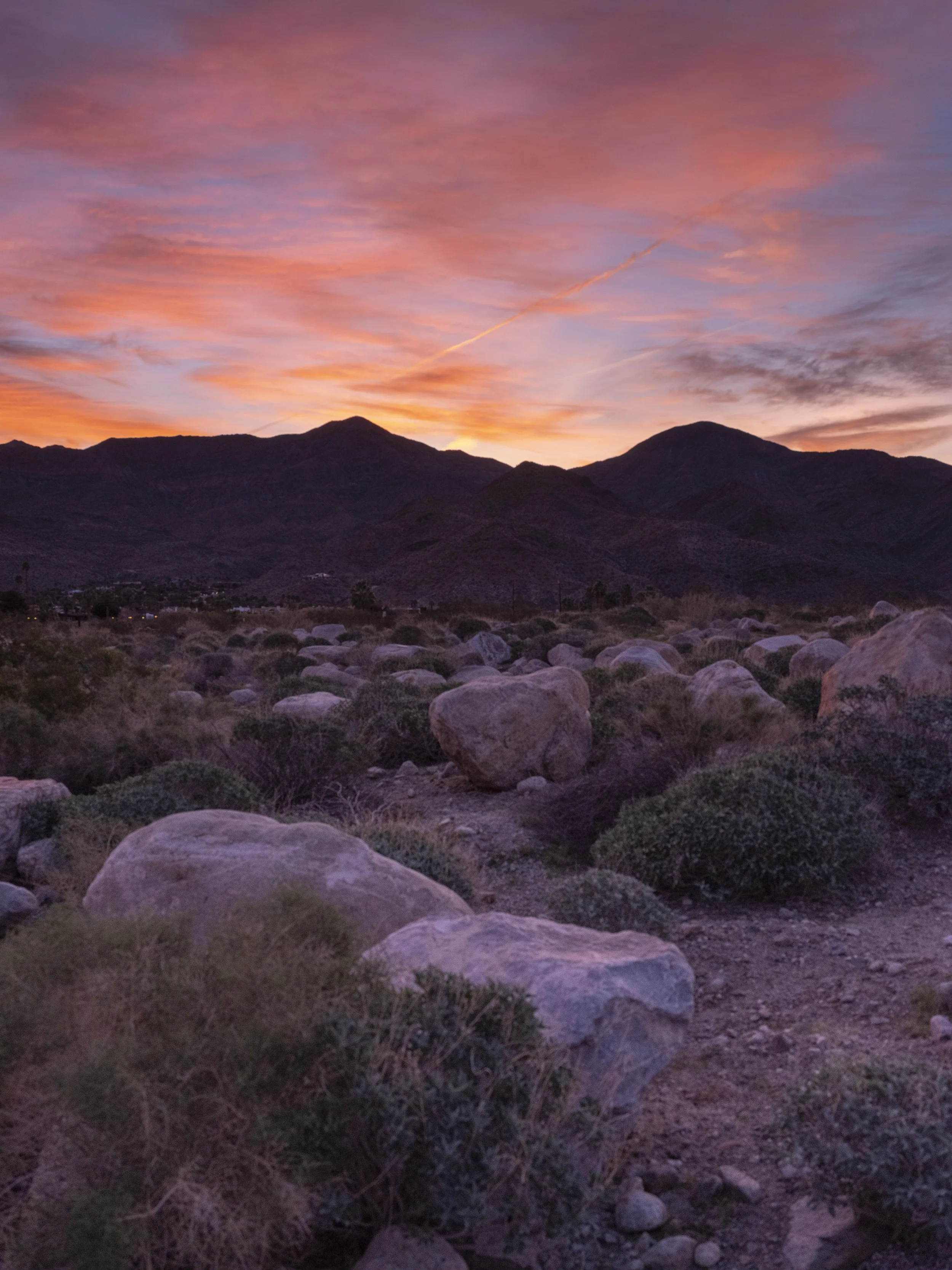 Indian Canyons Sunrise - Palm Springs, California