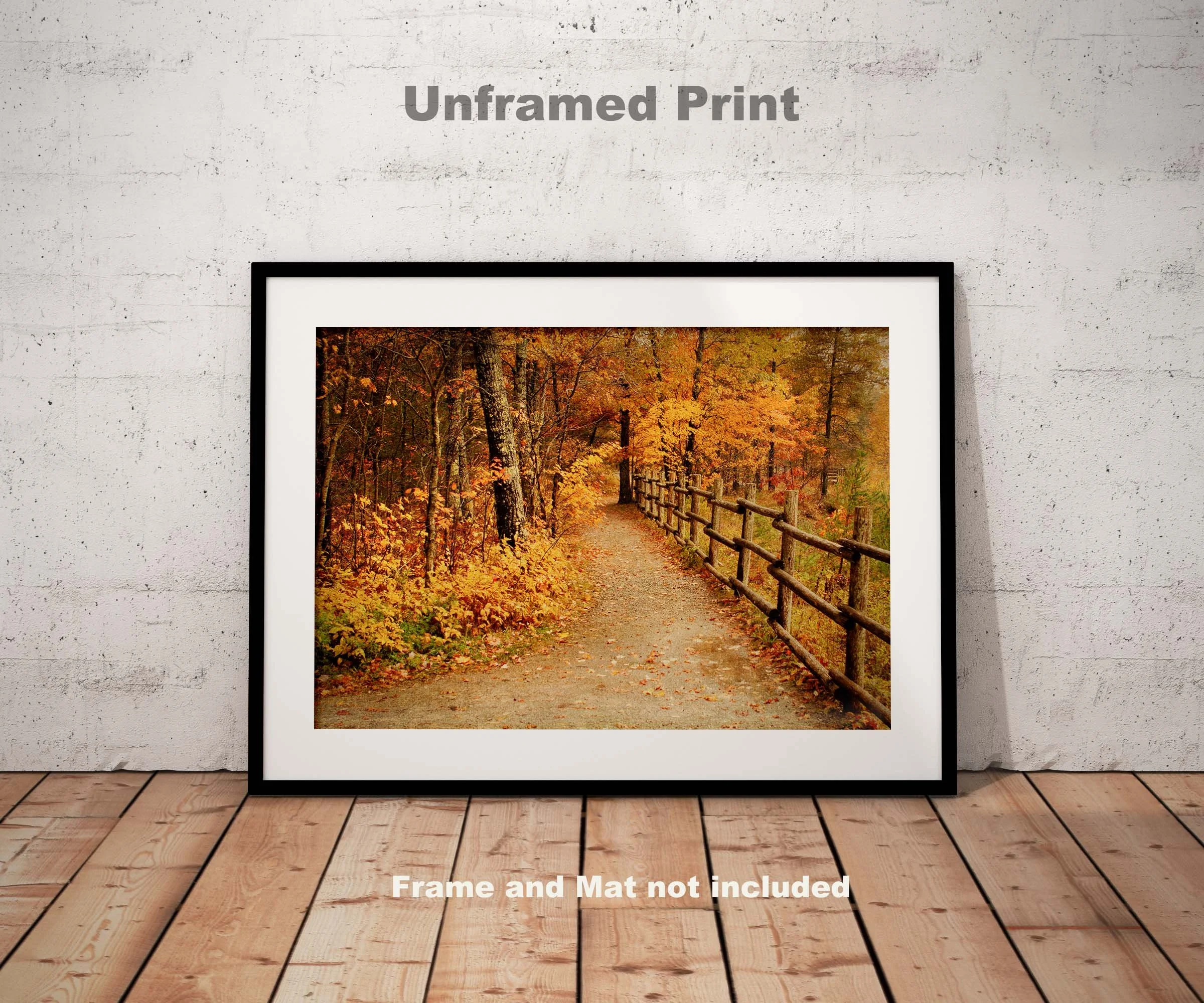 Autumn Path LS0001 Floor Frame.jpg