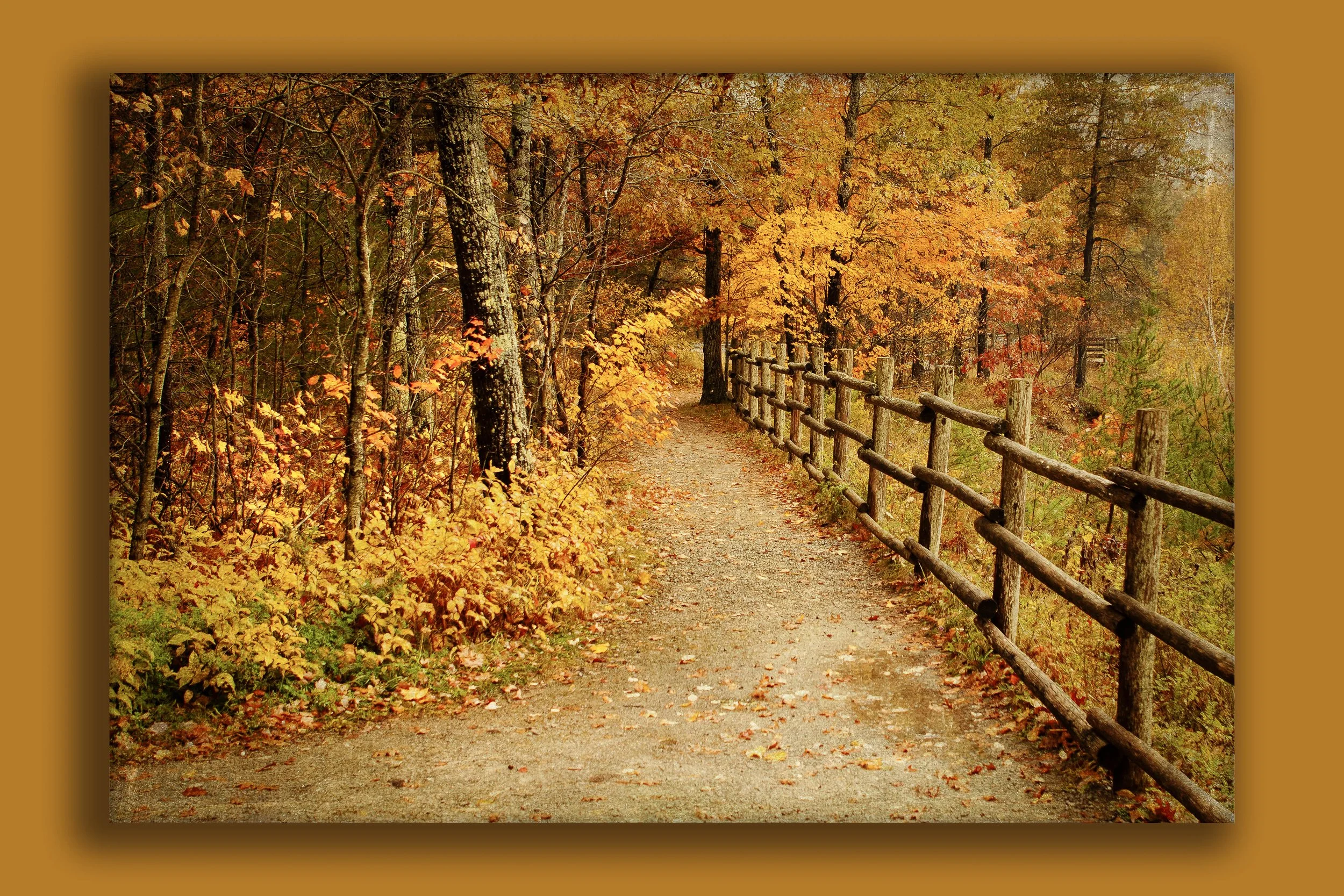 Autumn Path LS0001 ShadowBox.jpg