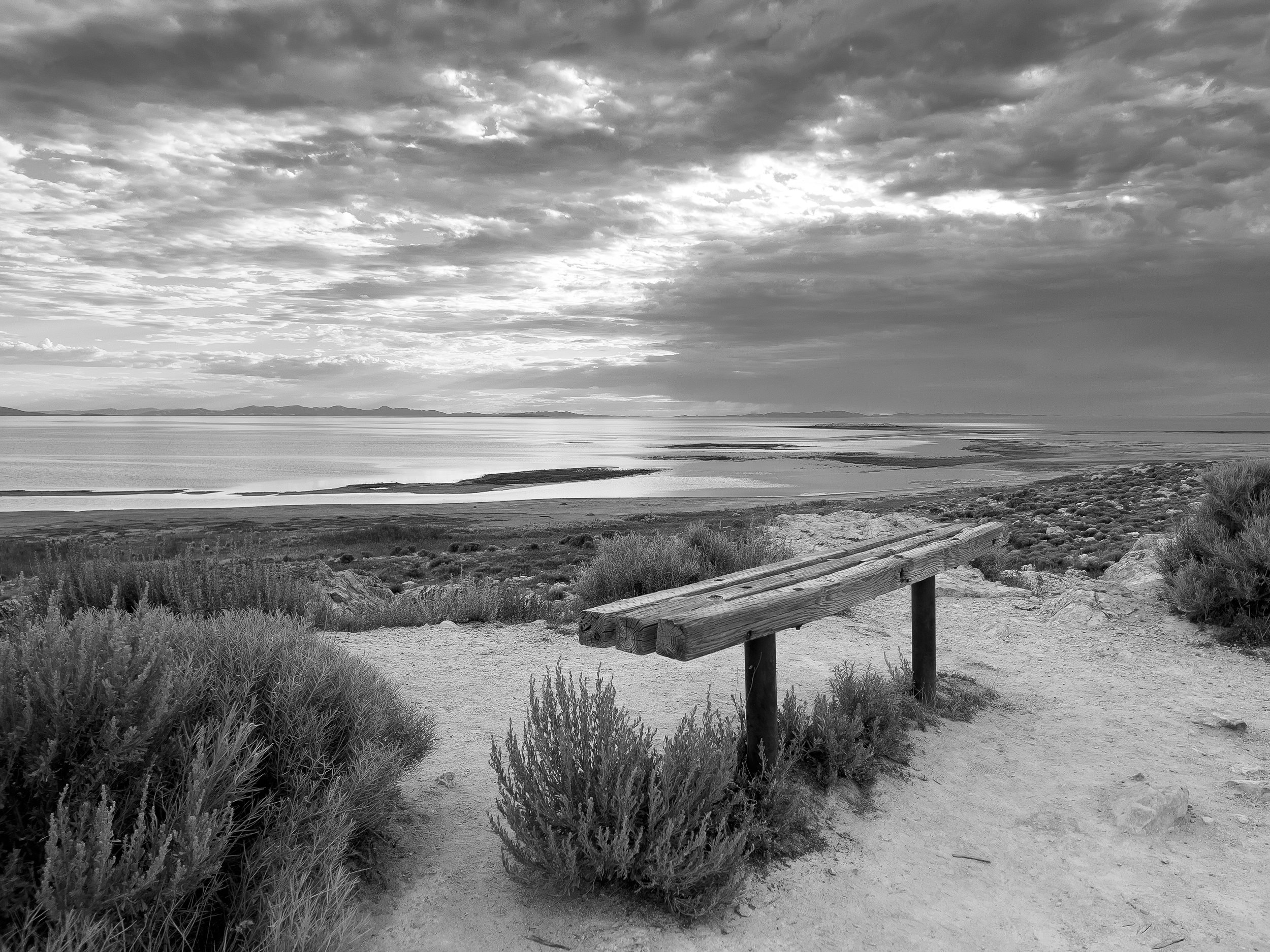 The Bench