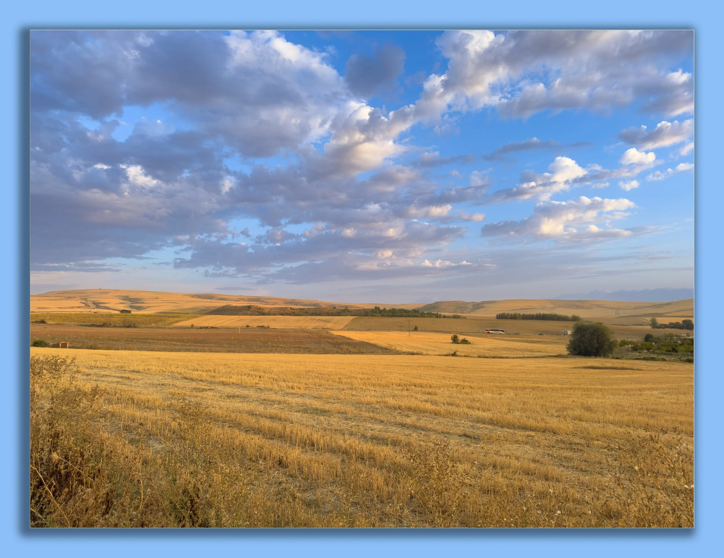 September 19 - dropshadow-.jpg