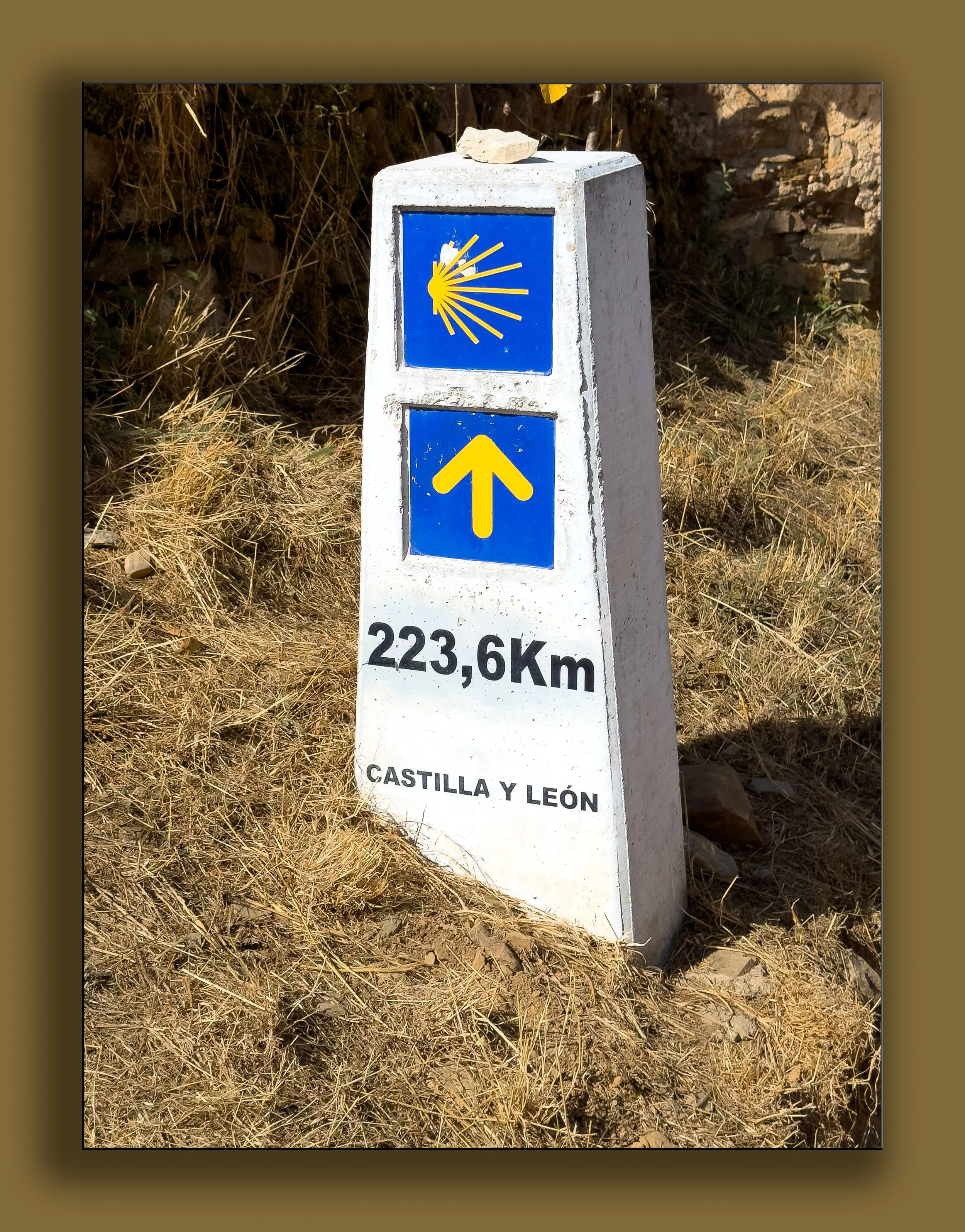 October 03 DS 2504edit-.jpg