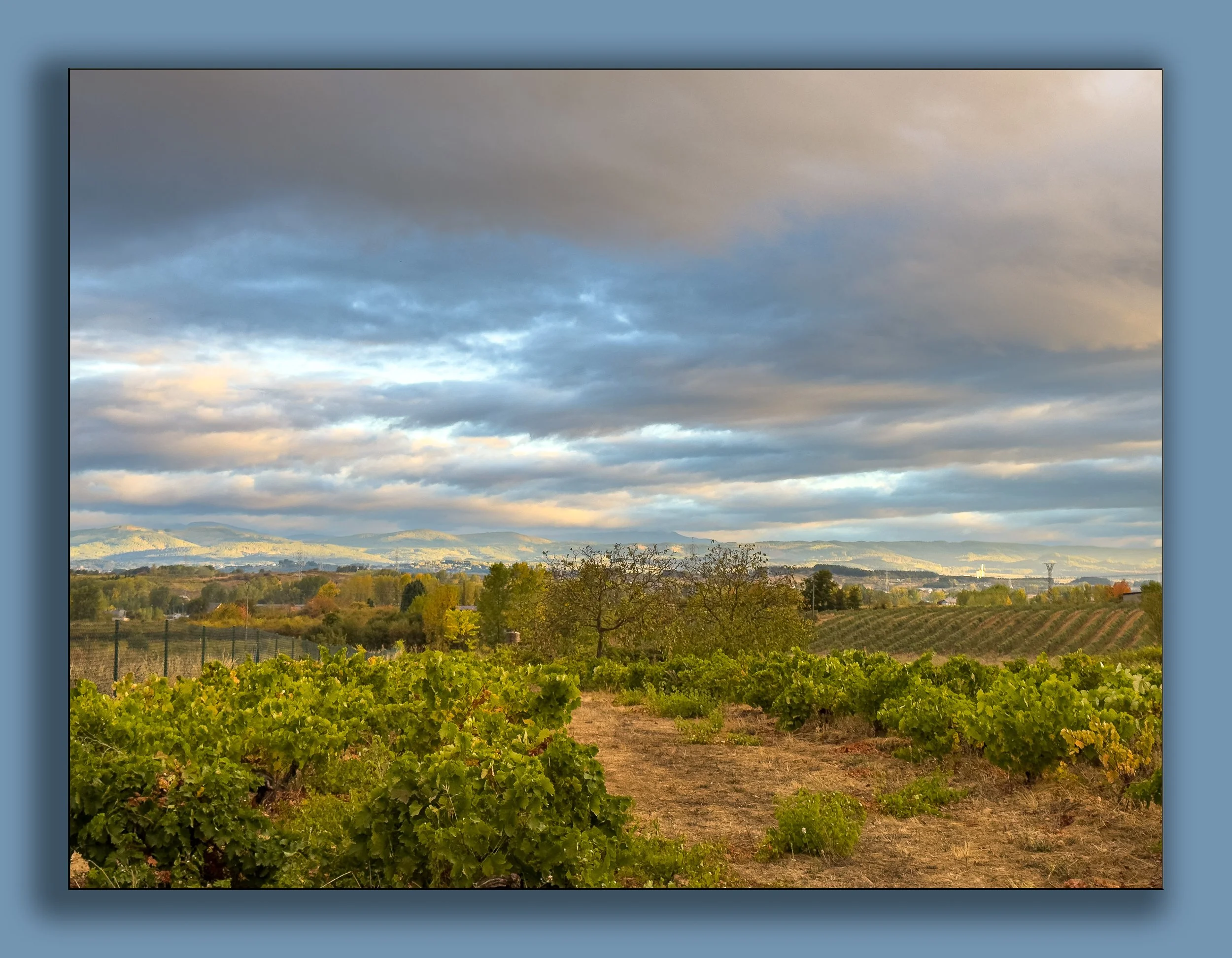 October 04 DS 2549-.jpg