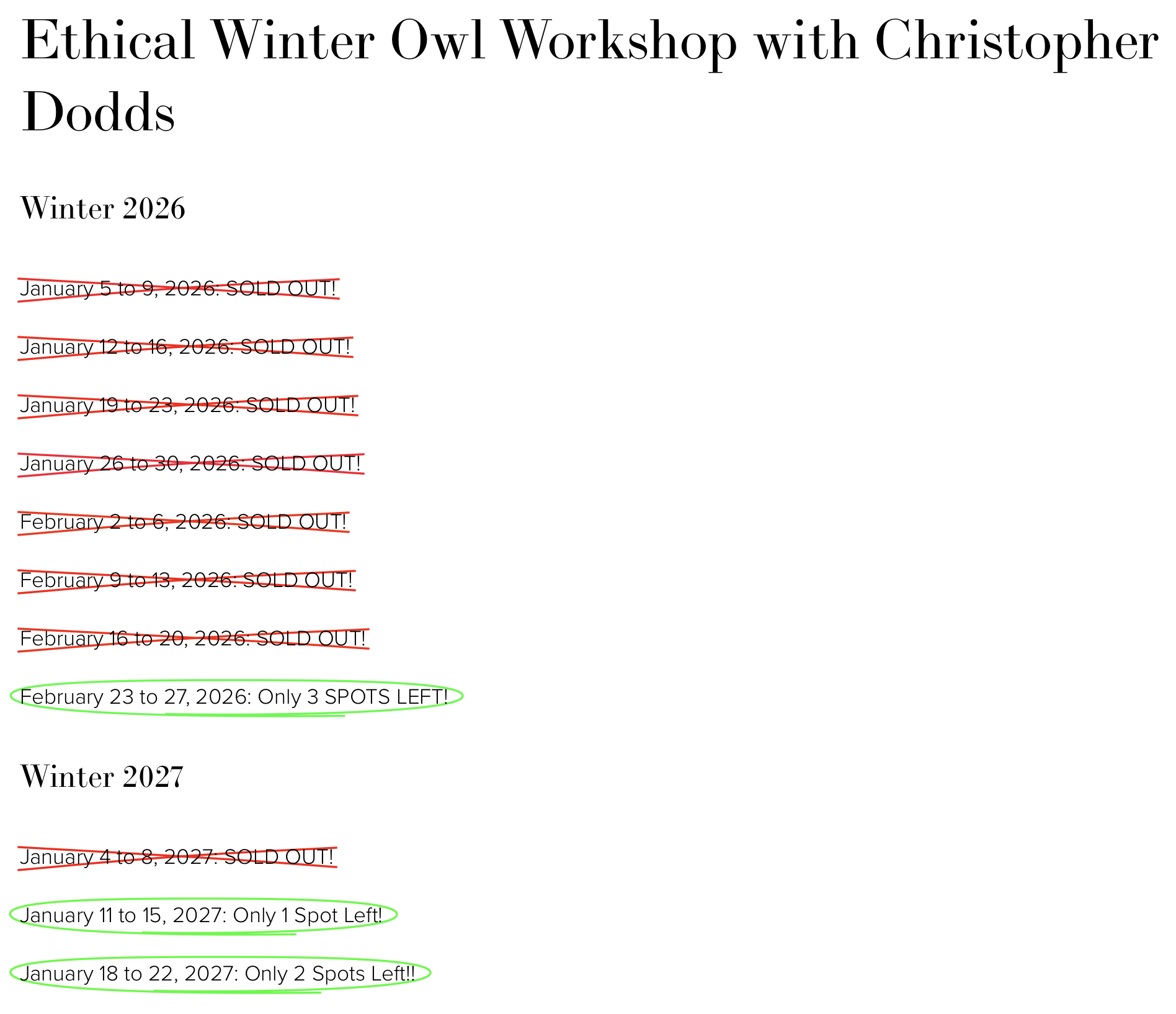 Ethical Winter Snowy Owl Photography Workshop with Canadian Nature Photographer Christopher Dodds