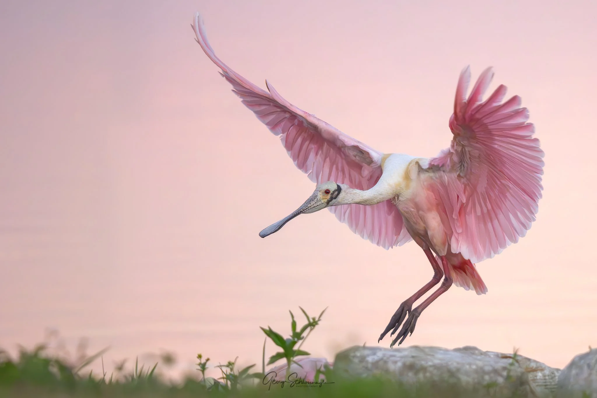 Image courtesy and copyright 2026 George Schlossnagle.