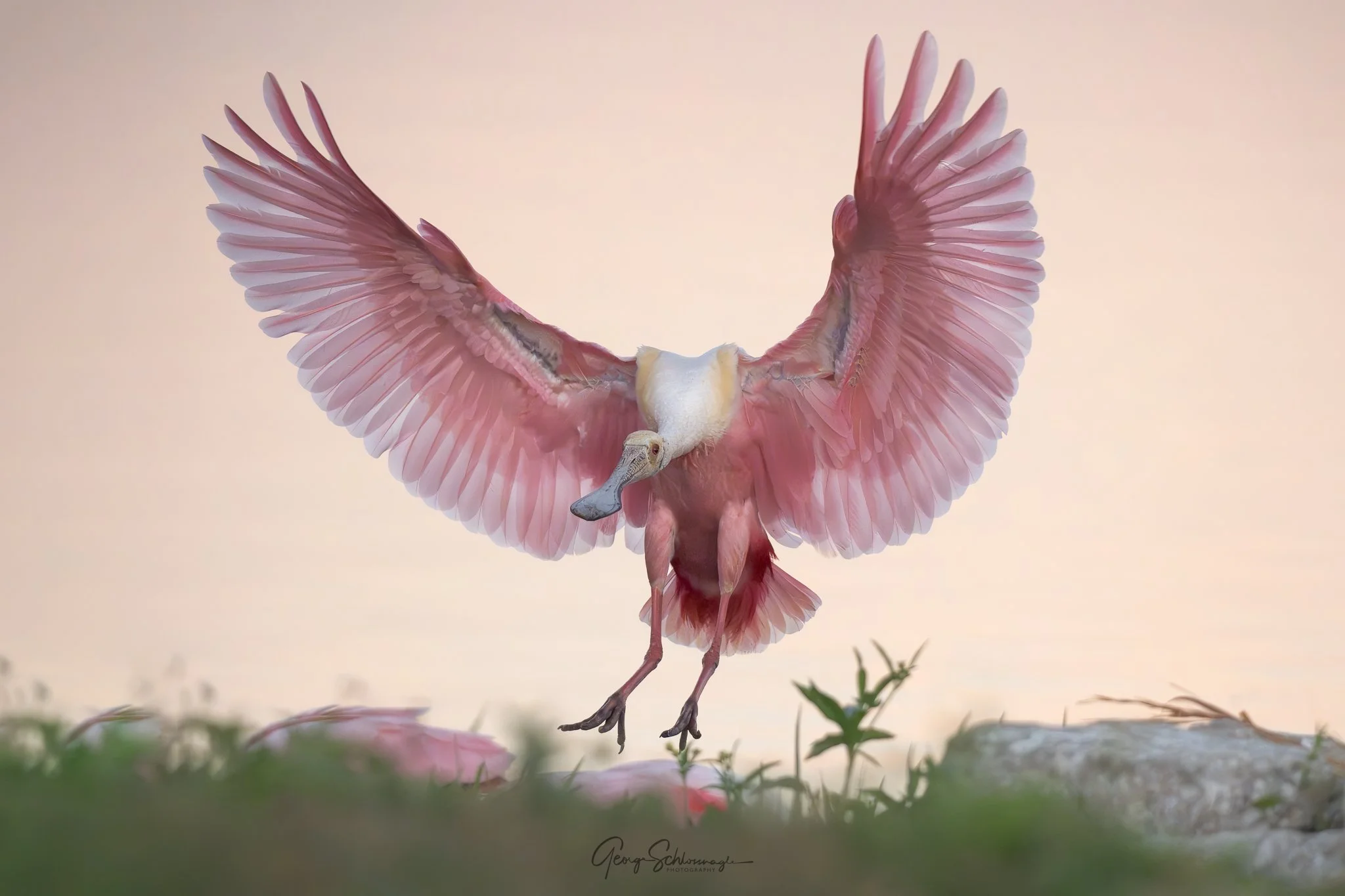 Image courtesy and copyright 2026 George Schlossnagle.