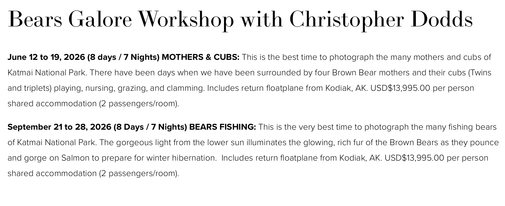 Katmai brown bear photography workshop in Alaska with Christopher Dodds showing mothers and cubs and fall fishing bears