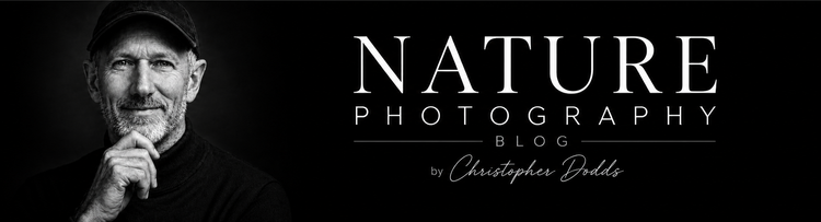 Nature Photography Blog