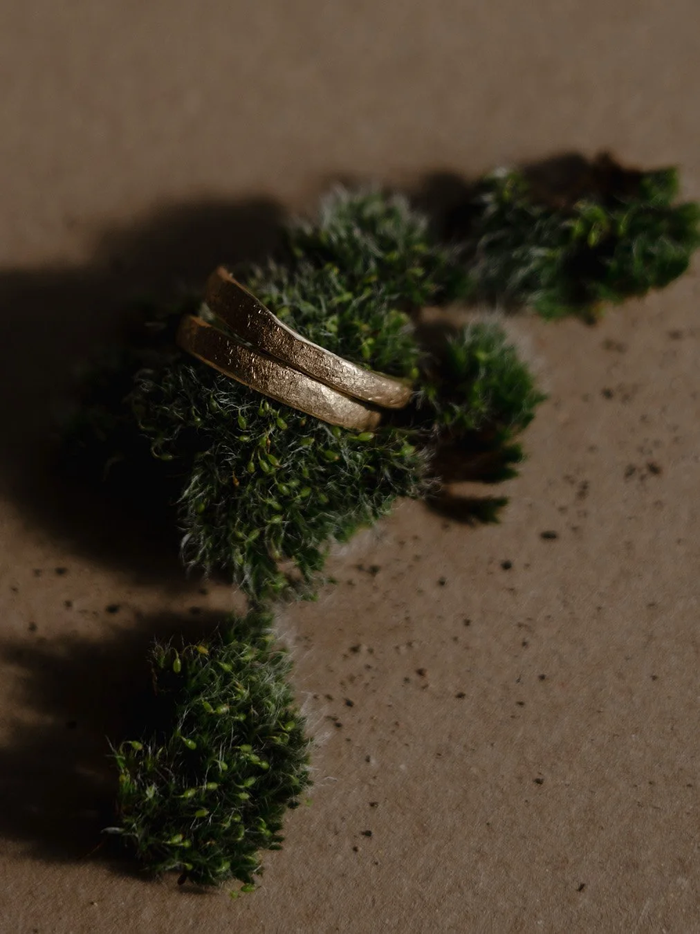 __website_LP-2-2025_Website Ringe gerastert.jpg