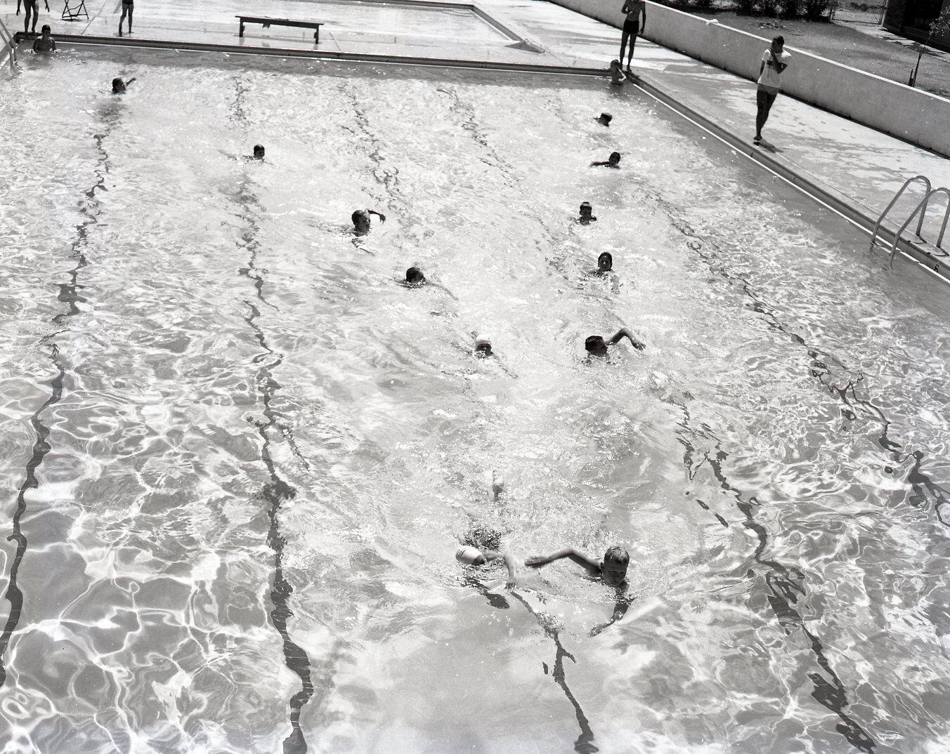 Kids taking in the summer by swimming in the local pool