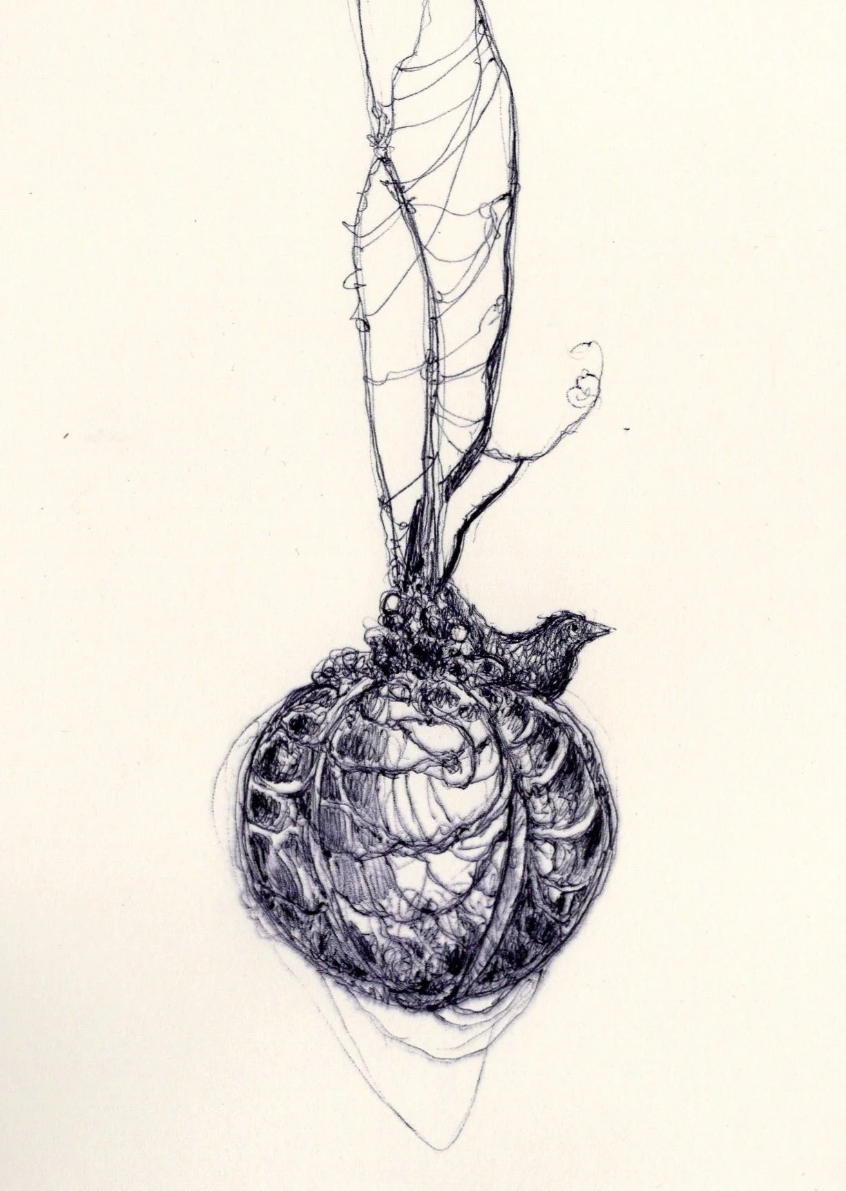 Dad's Drawing.jpg