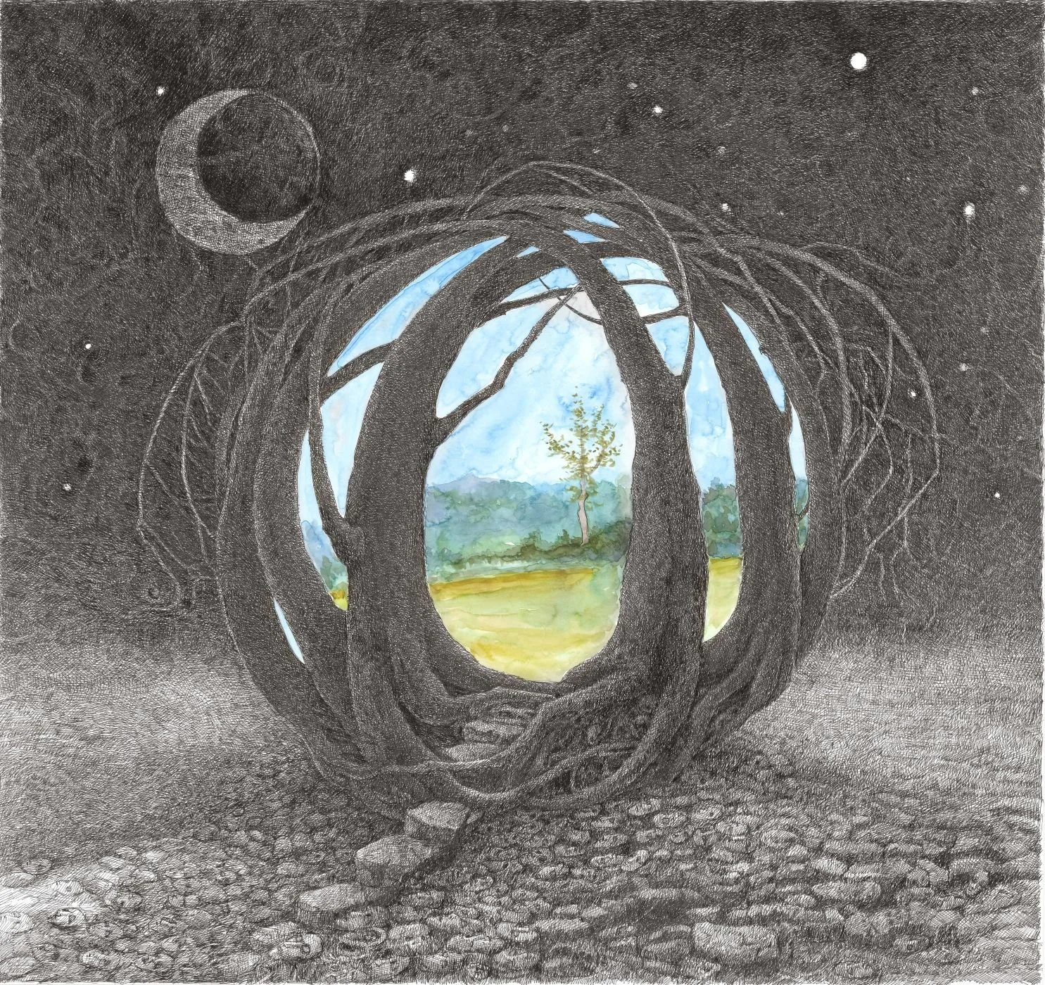 No. 5 Nature at the Center, Deaton.jpg