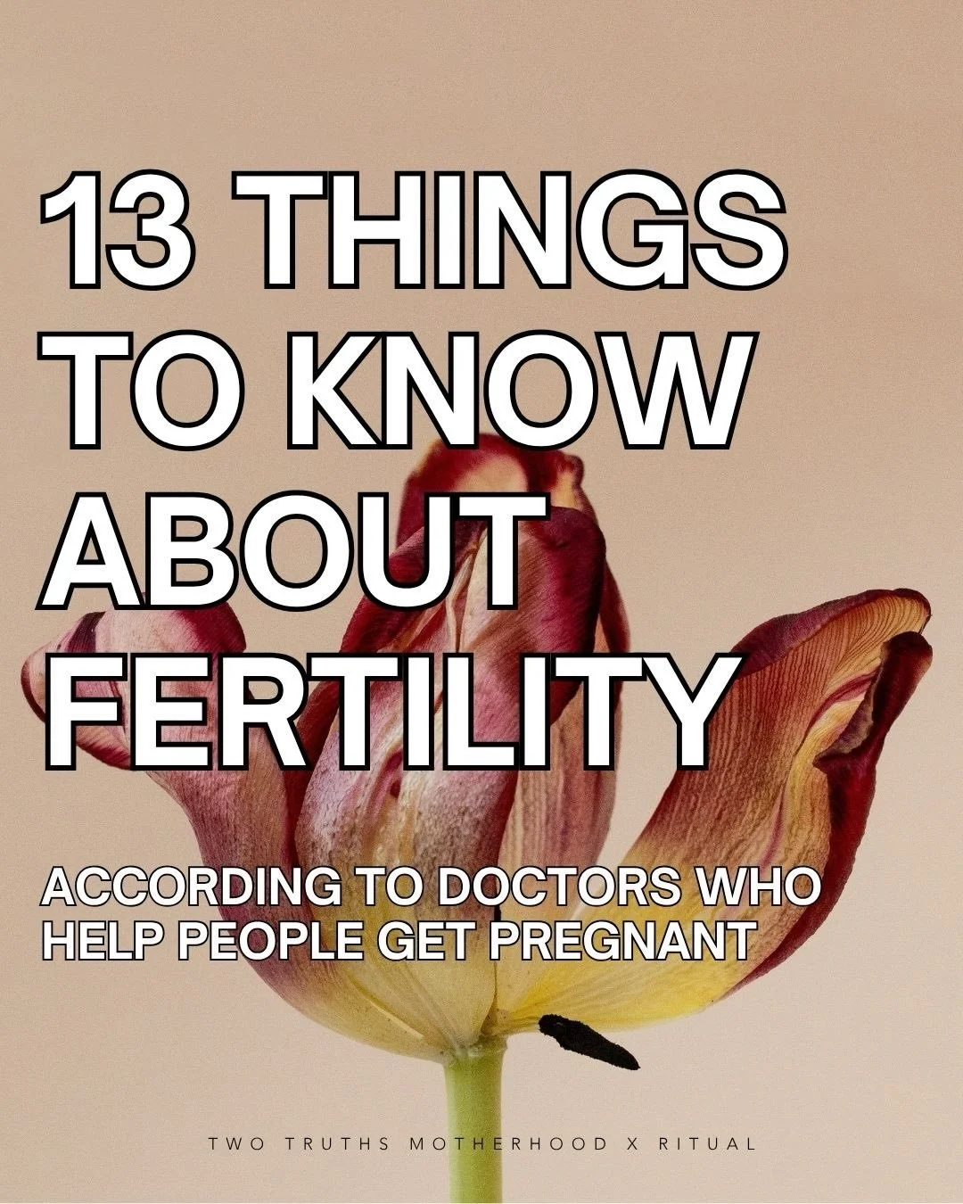 What did you learn about fertility? Today, there a lot more conversations out there about fertility, but also a lot of confusion. We spoke to two physicians to better understand what we all need to know about fertility. 

Comment LINK and we&rsquo;ll