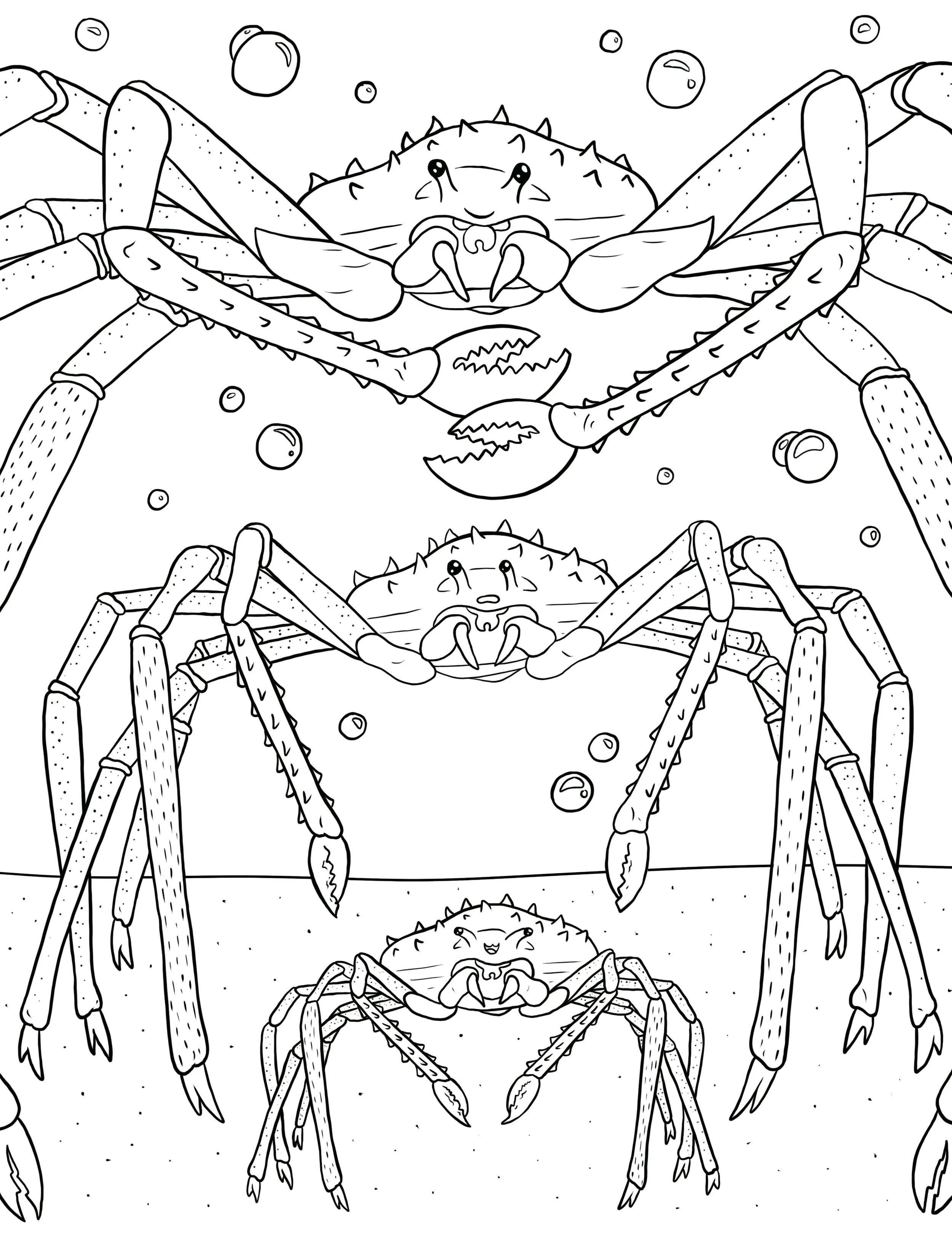 Japanese_Spider_Crab_.jpg