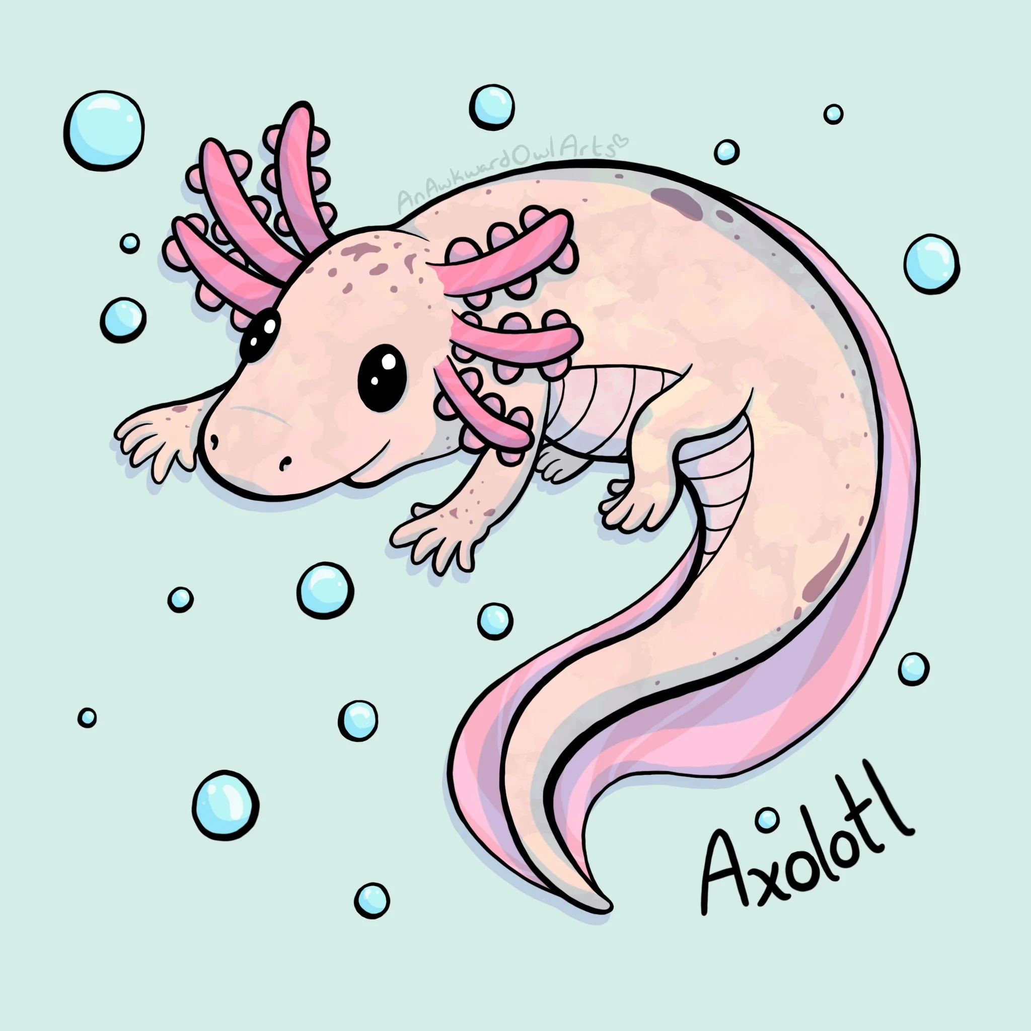 Axolotl.jpg