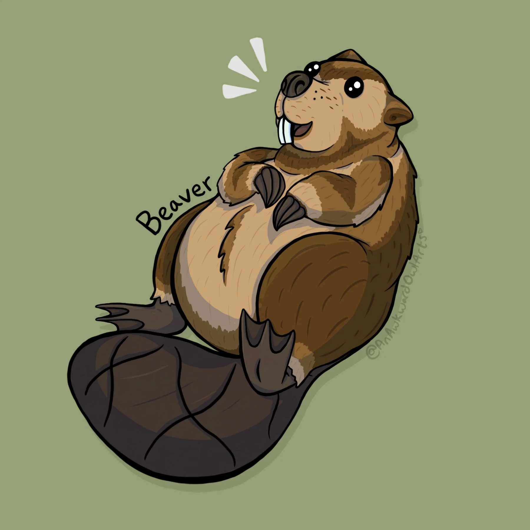 Beaver.jpg
