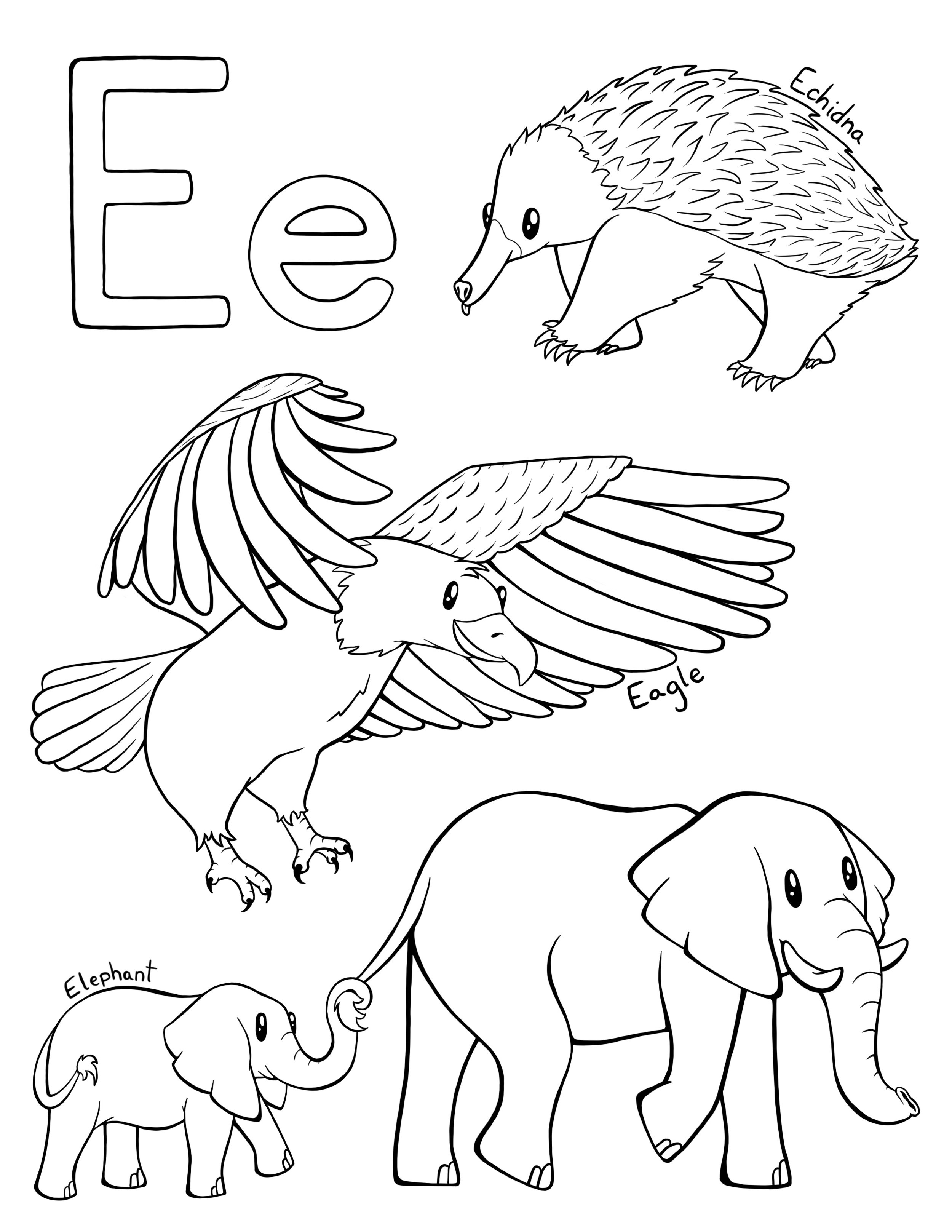 E.jpg