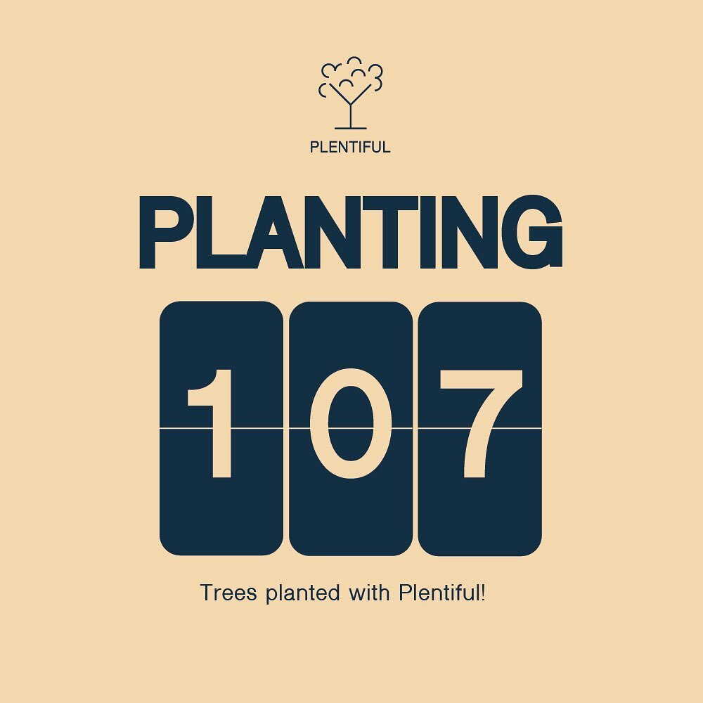 Wow! We are planting!🌳💪🏼👏🏼

 #zerowaste #sustainability #deodorant #lipbalm #biodegradable #natural #handmade #plentifulproducts #deo #plant #goodforplanet #planet #health #cosmetics #product  #pinacolada #moscowmule #mojito #naturalingredients 