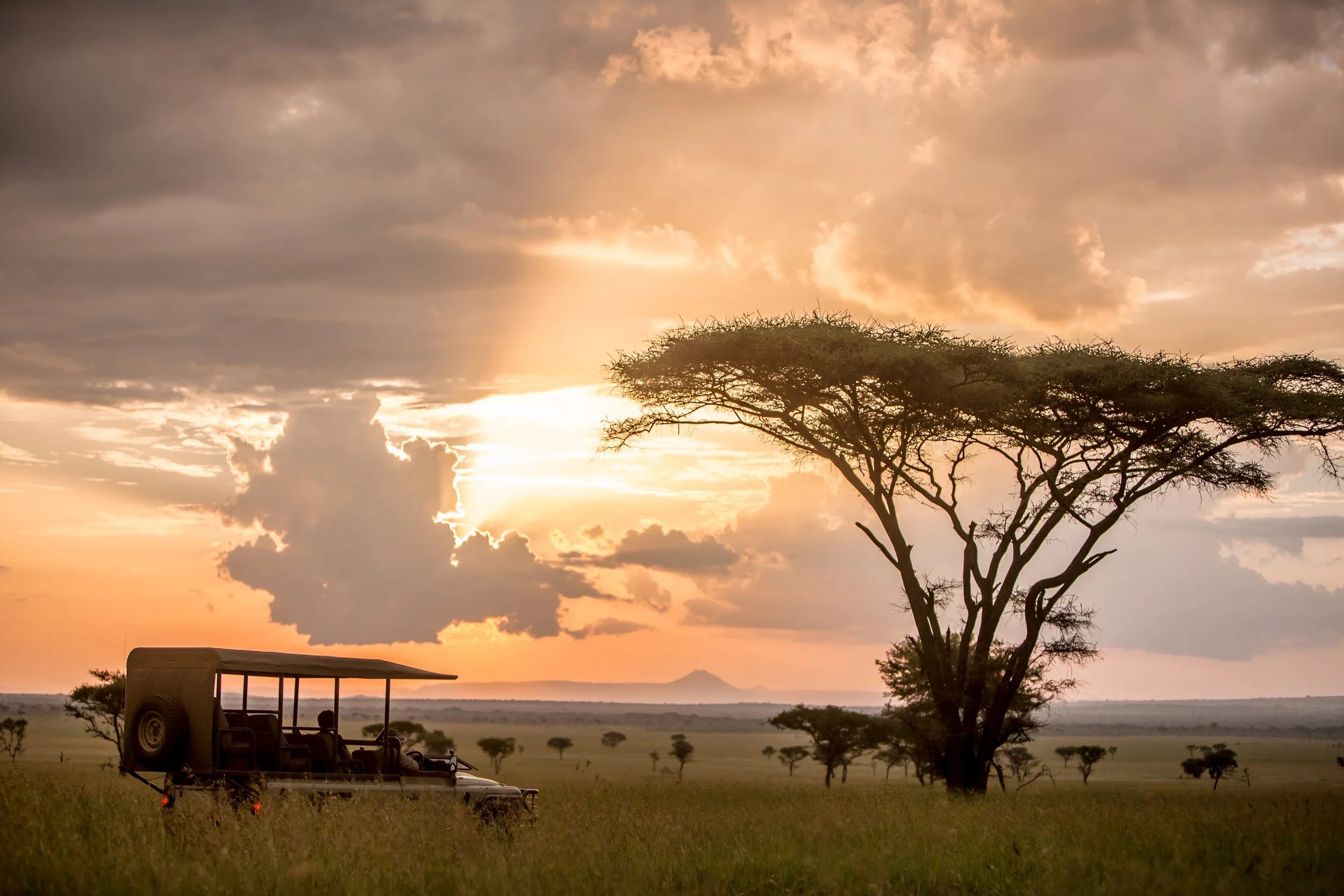 Luxury African safari game drive at sunset with an open vehicle overlooking the savanna and acacia tree, capturing the serene beauty of the wild landscape.
