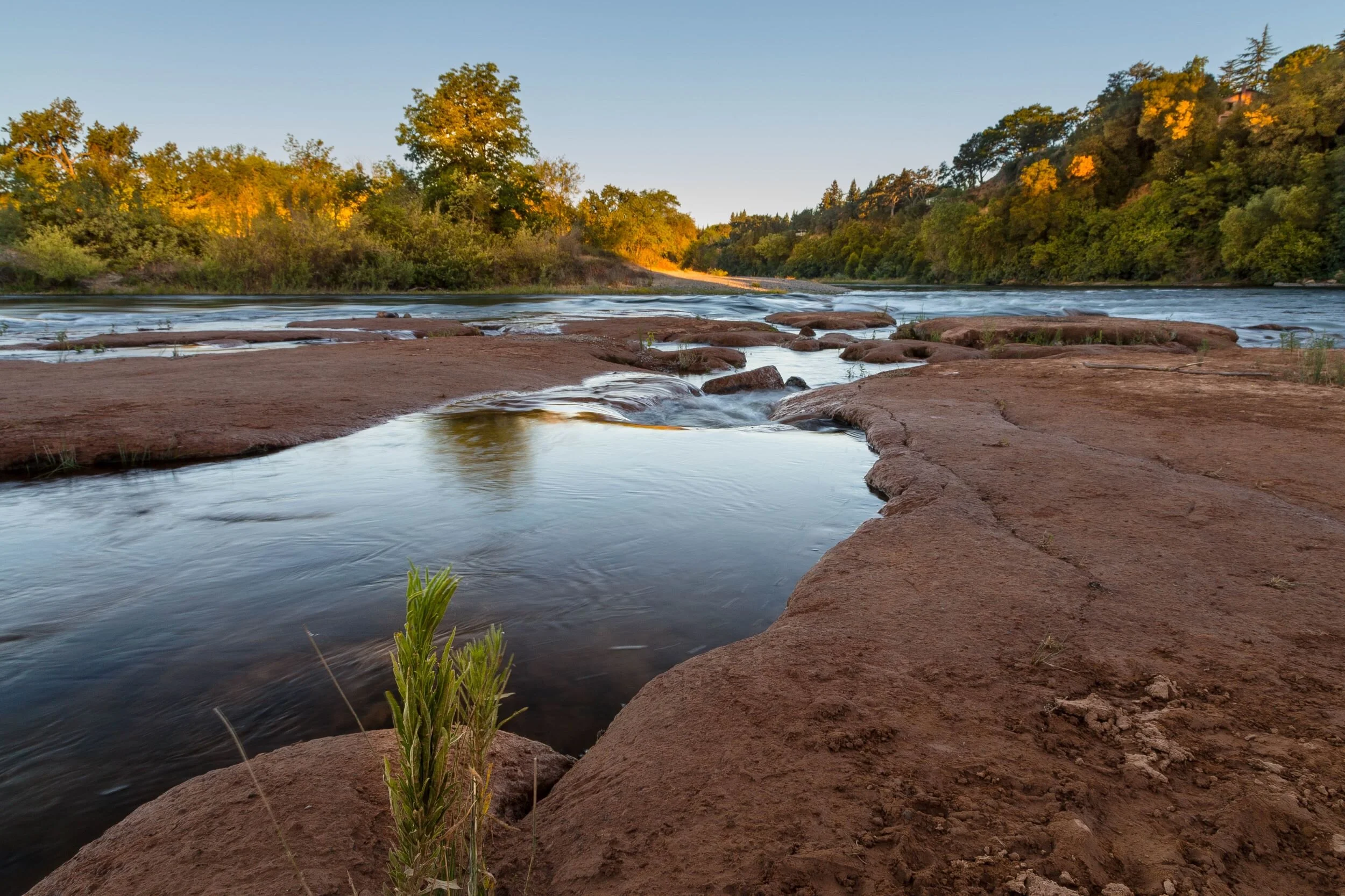 American River Parkway Birding Locations — Sacramento Audubon Society