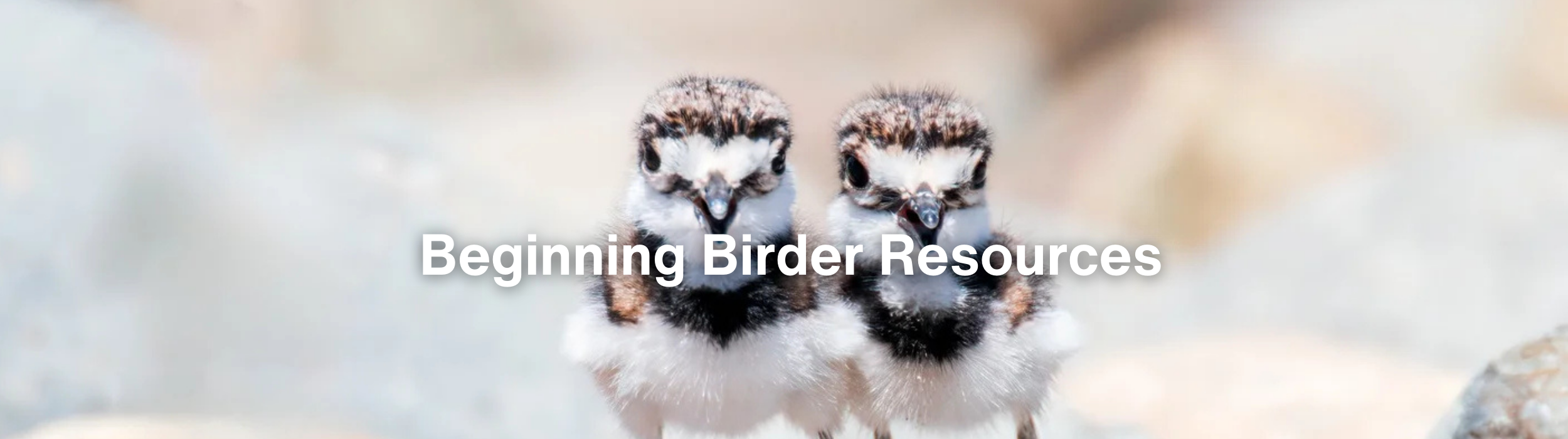 Beginning Birder Resources (2).png