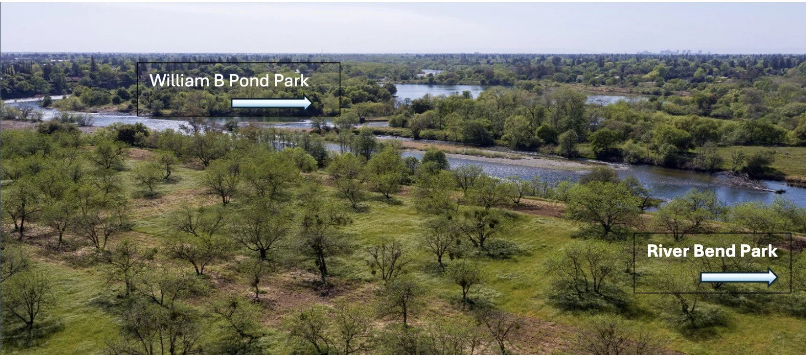 Kassis between SAC parks.jpg