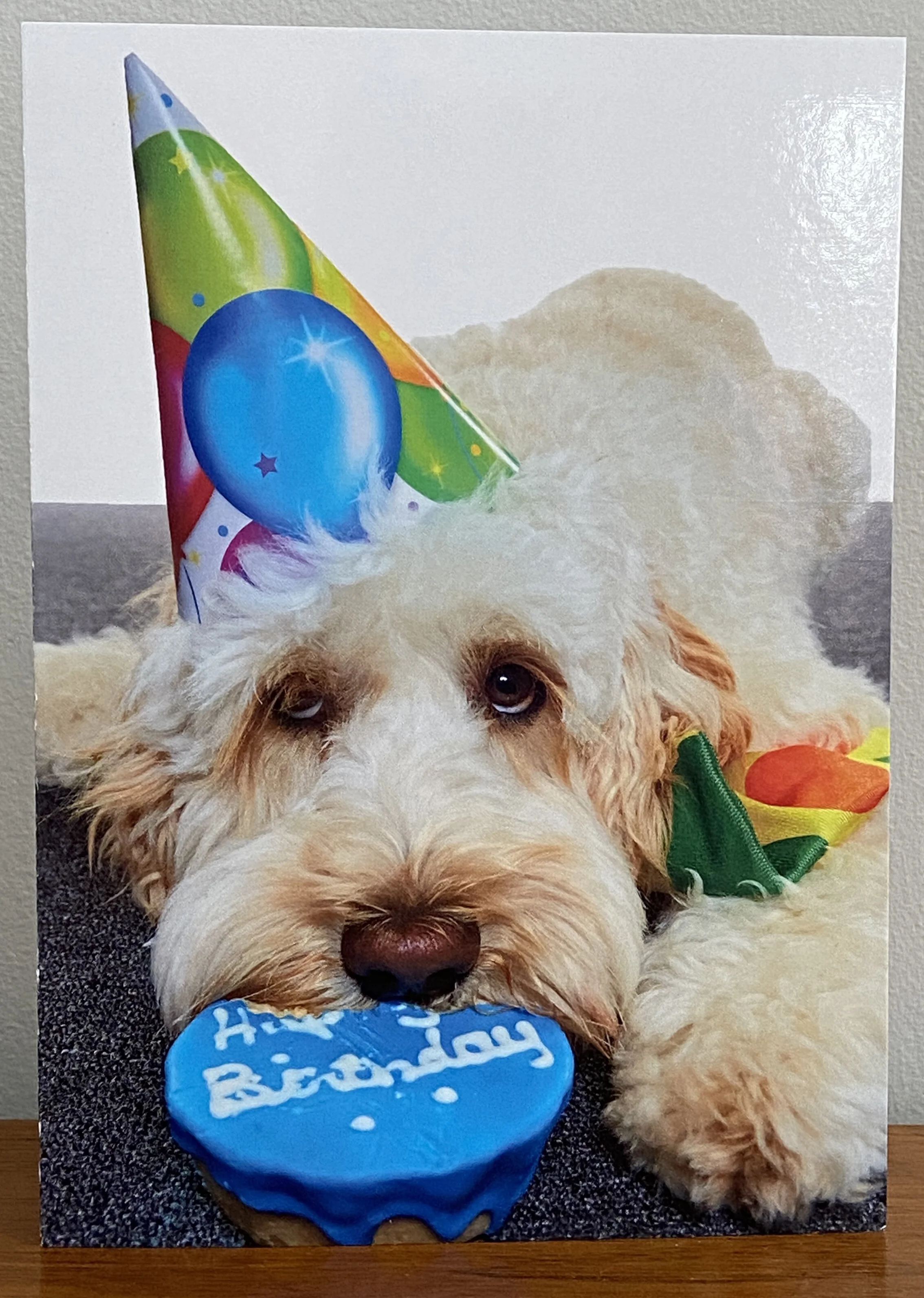 YappyBirthday.jpg