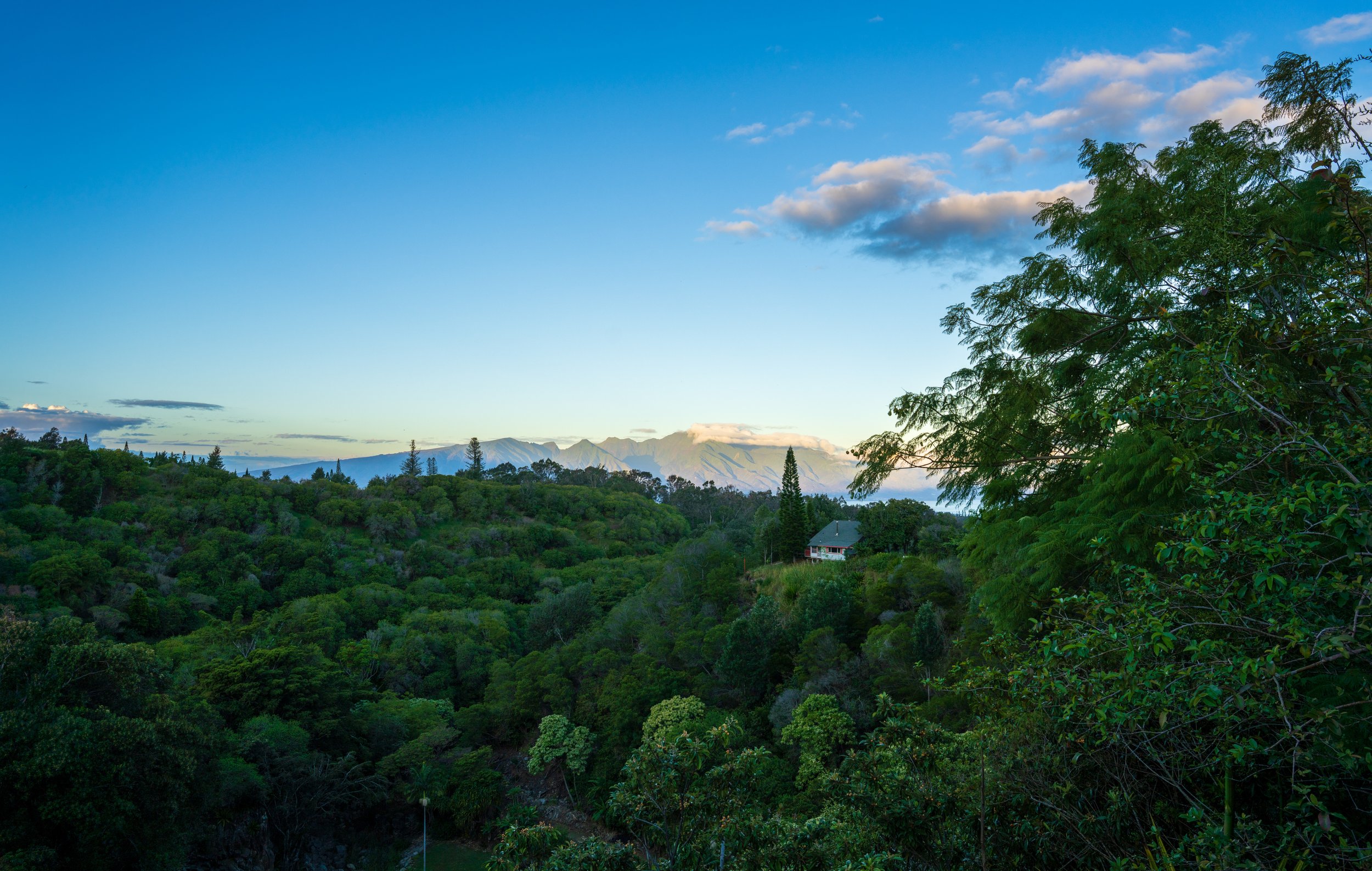 The view from our cabin in Upcountry Maui (photo/Jason Rafal)