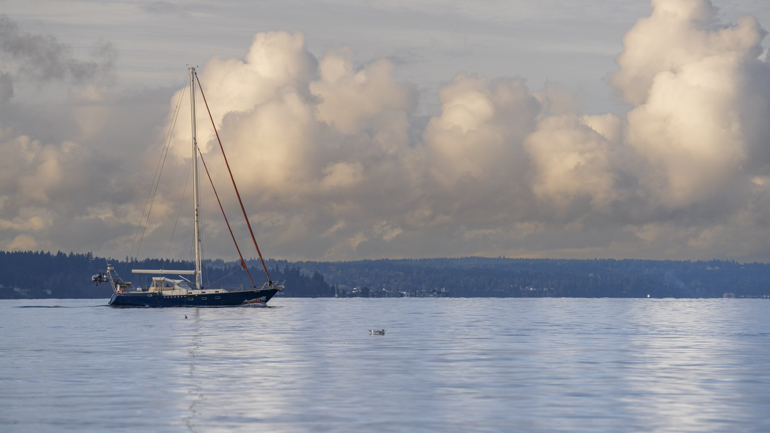  Jason continues lusting after sailboats (photo/Jason Rafal) 