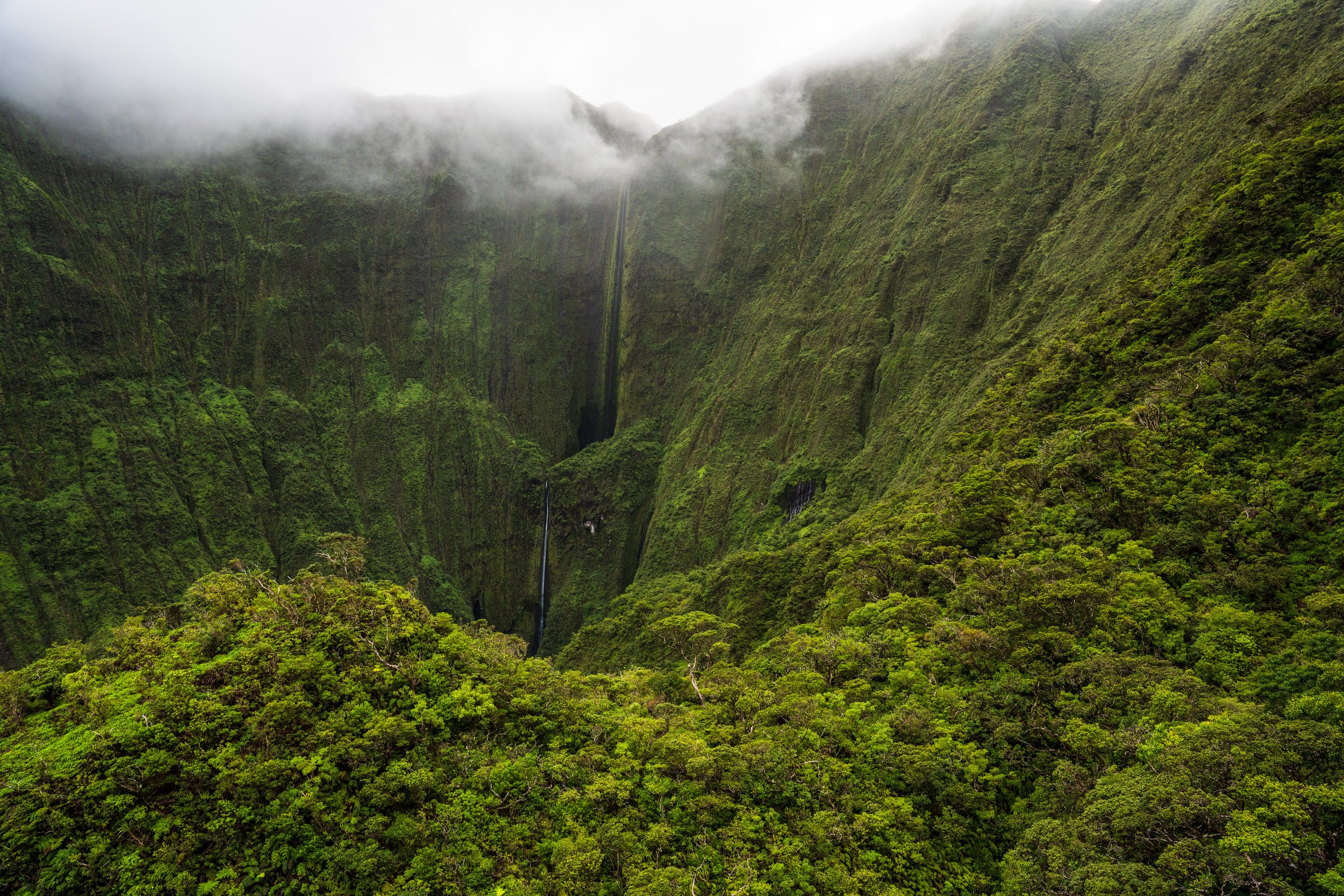  Foreground trees for scale (photo/Jason Rafal) 