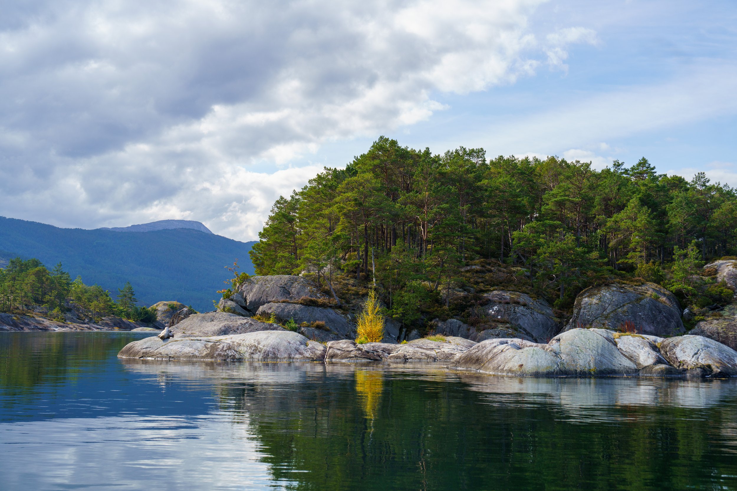 A lone fall-colored tree on a rocky island (photo/Jason Rafal)